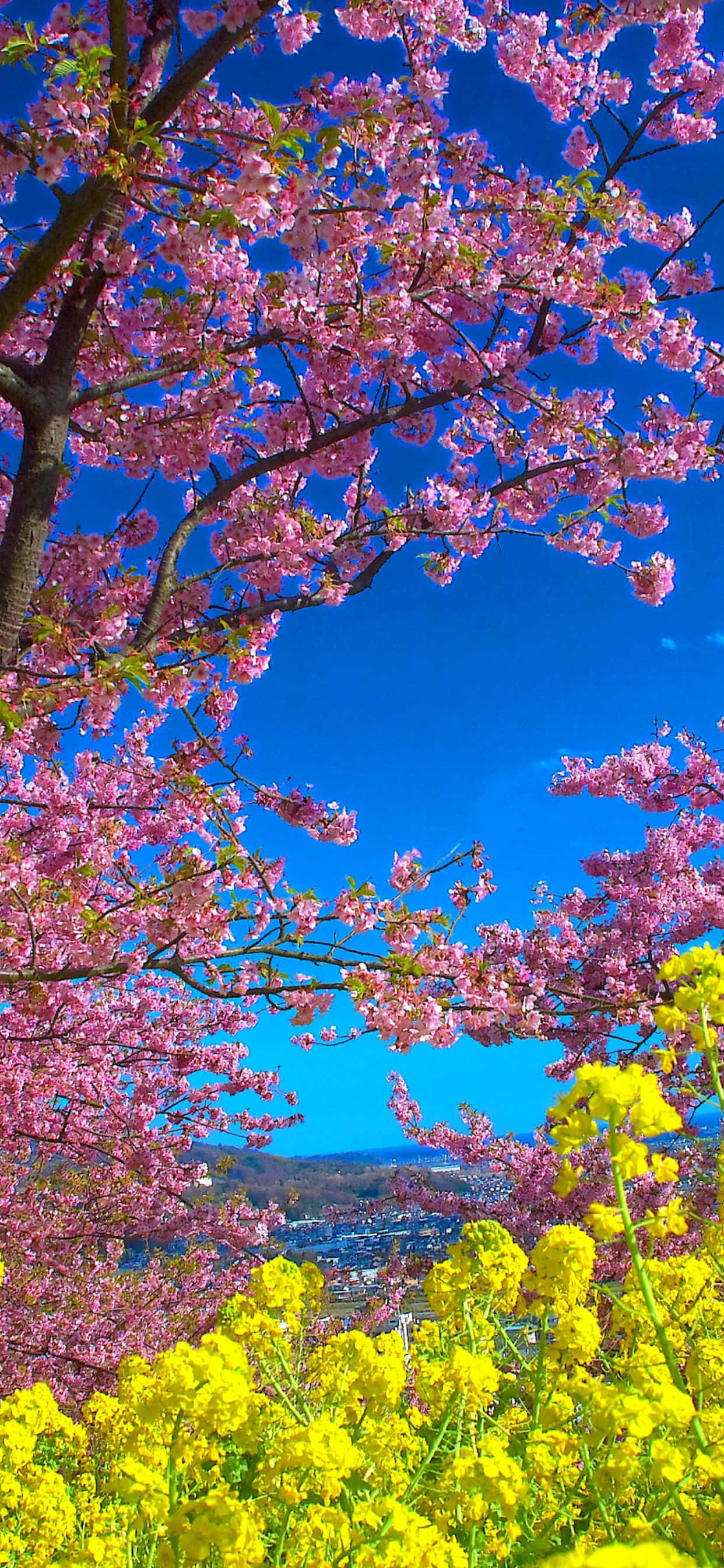 Salta al futuro con el Pixel 3 esta primavera Fondos de pantalla
