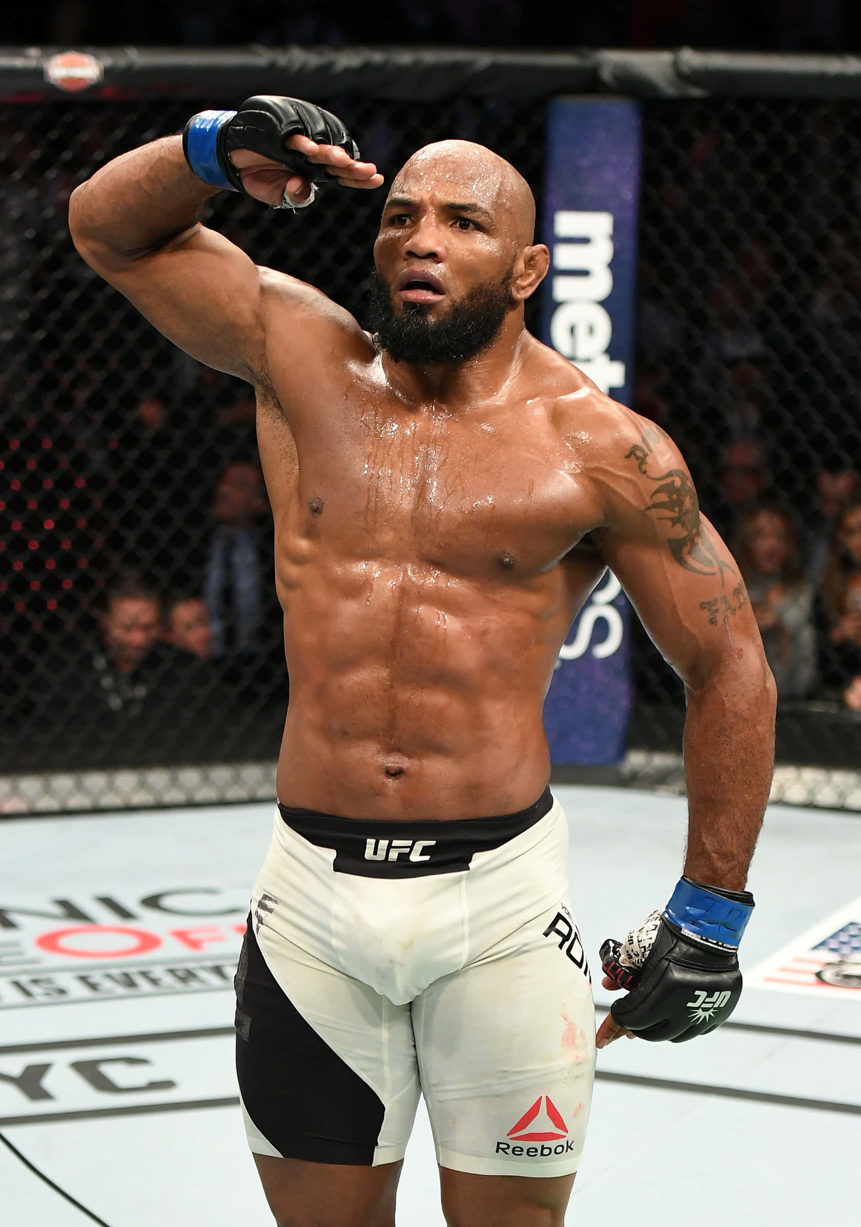 Saludo de Yoel Romero en UFC 205 Fondos de pantalla