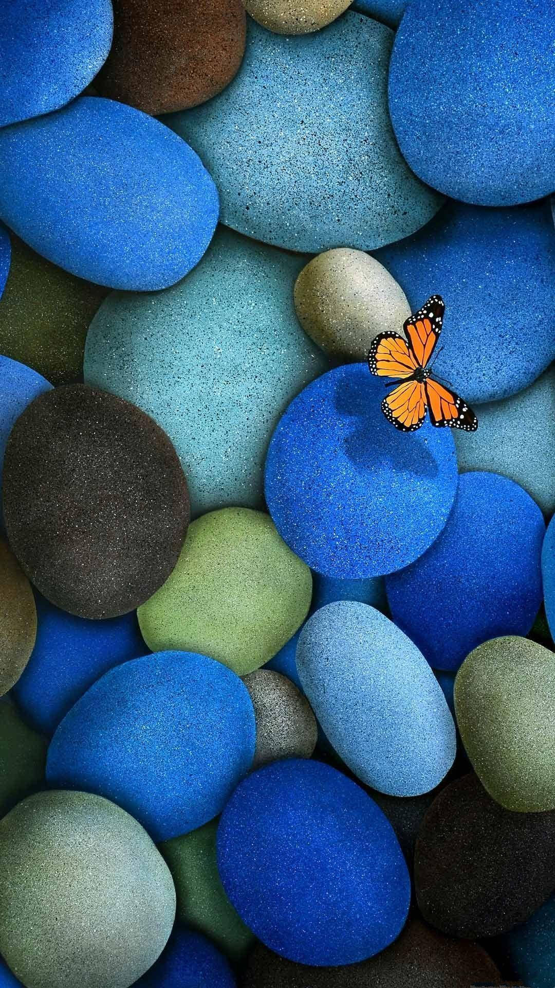 Samsung Galaxy 4K Guijarros Azules y una Mariposa Fondos de pantalla