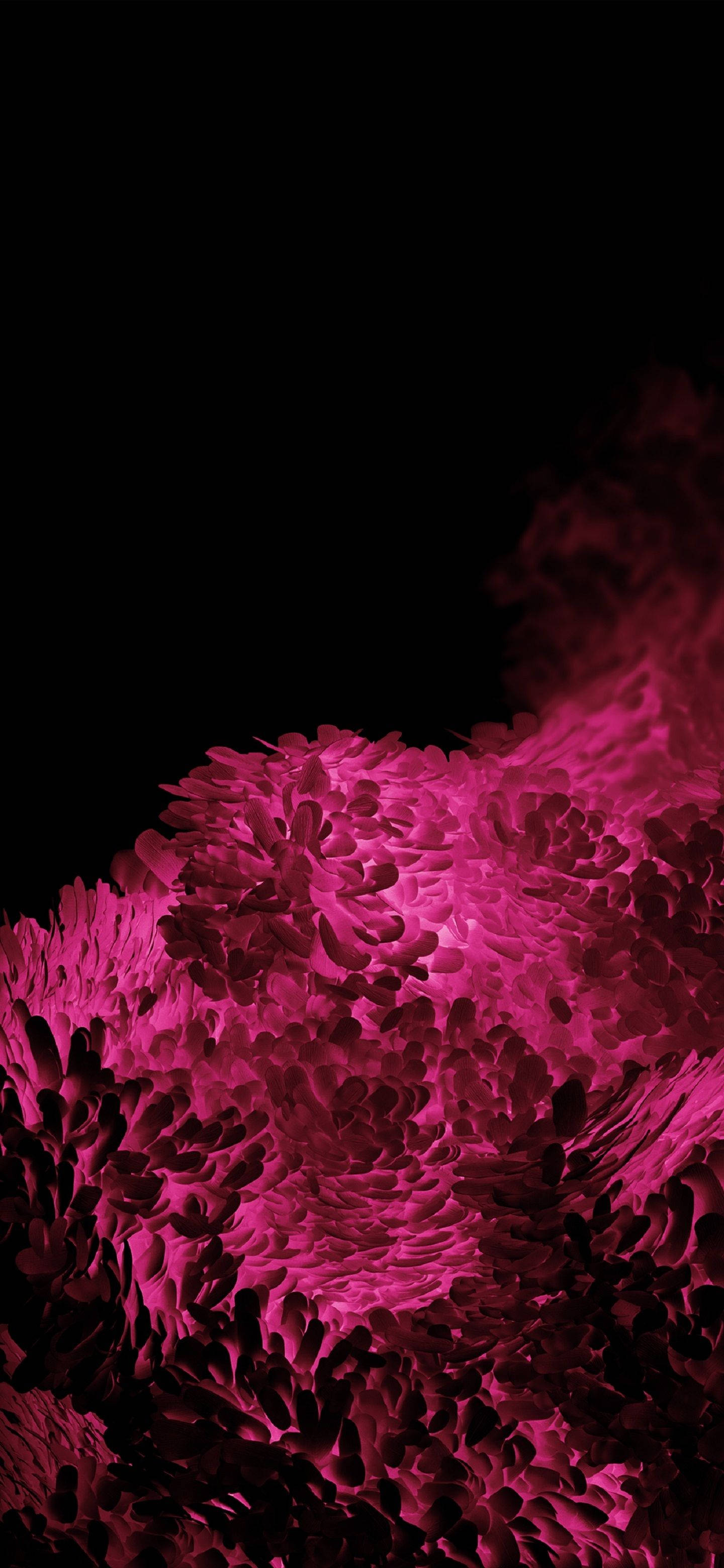 Samsung S20 Ultra Esponja Rosa Fondos de pantalla