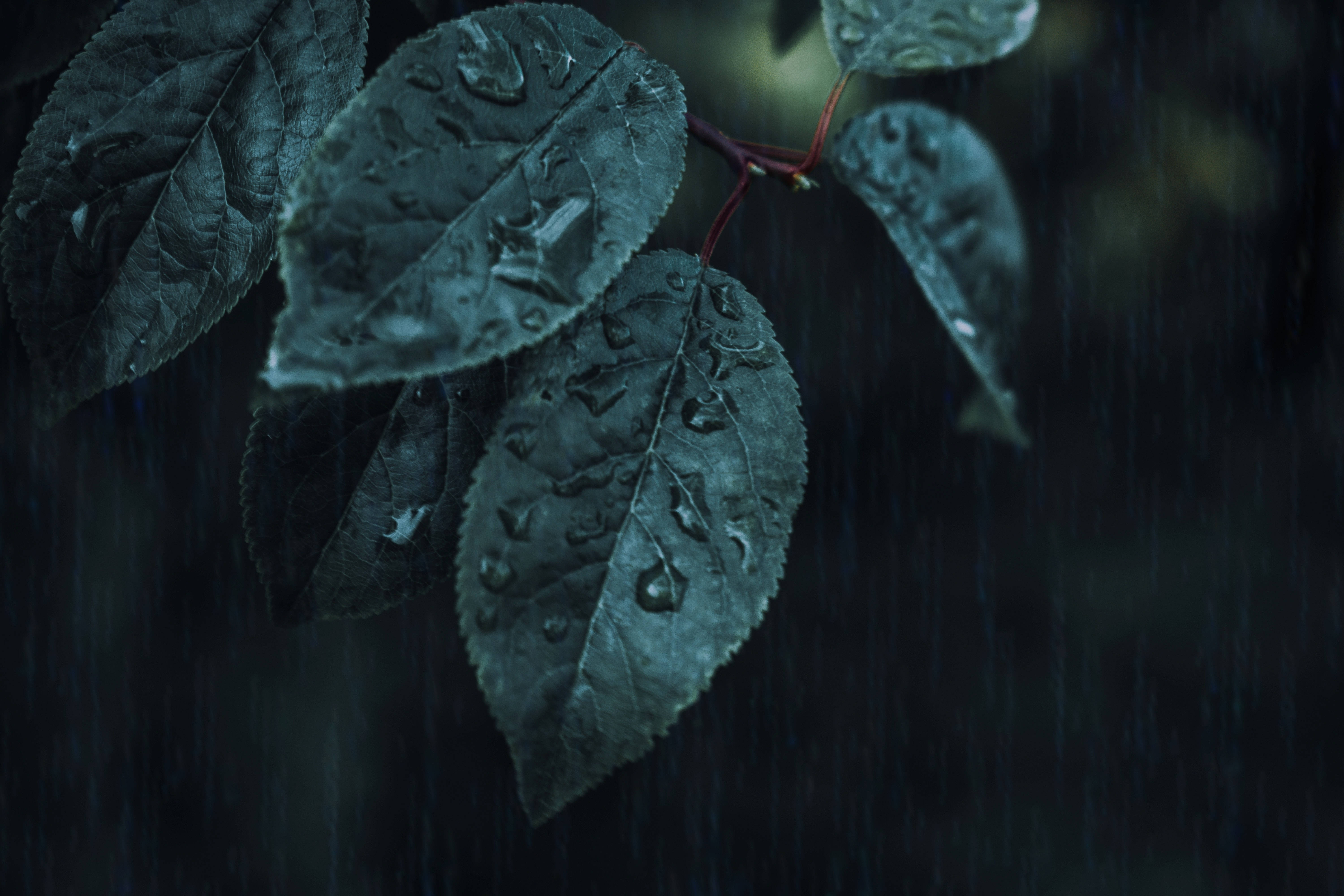 Samsung S20 Ultra Gotas de Agua Fondos de pantalla