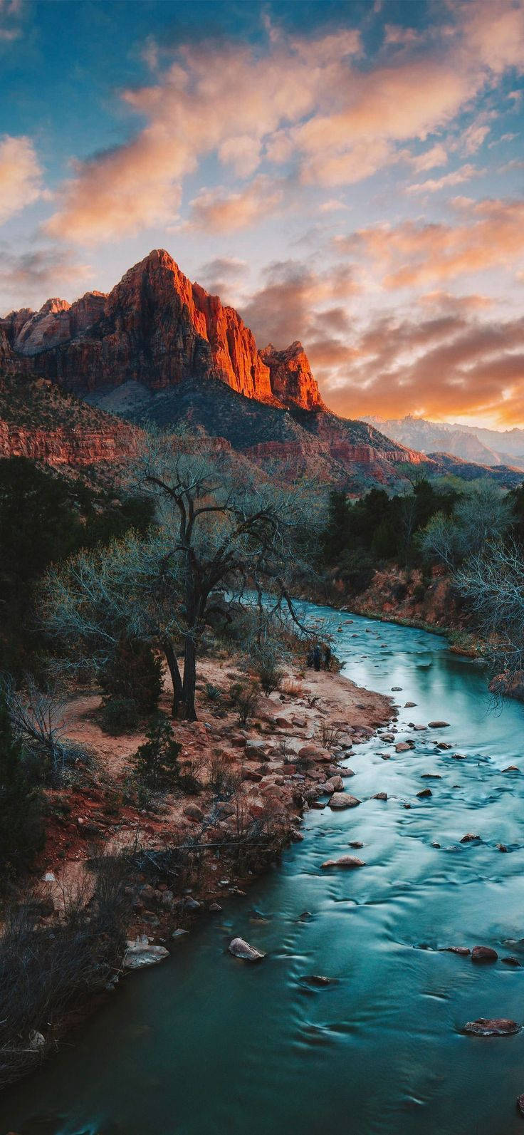 Sección Zion Narrows del Parque Nacional Zion Fondos de pantalla