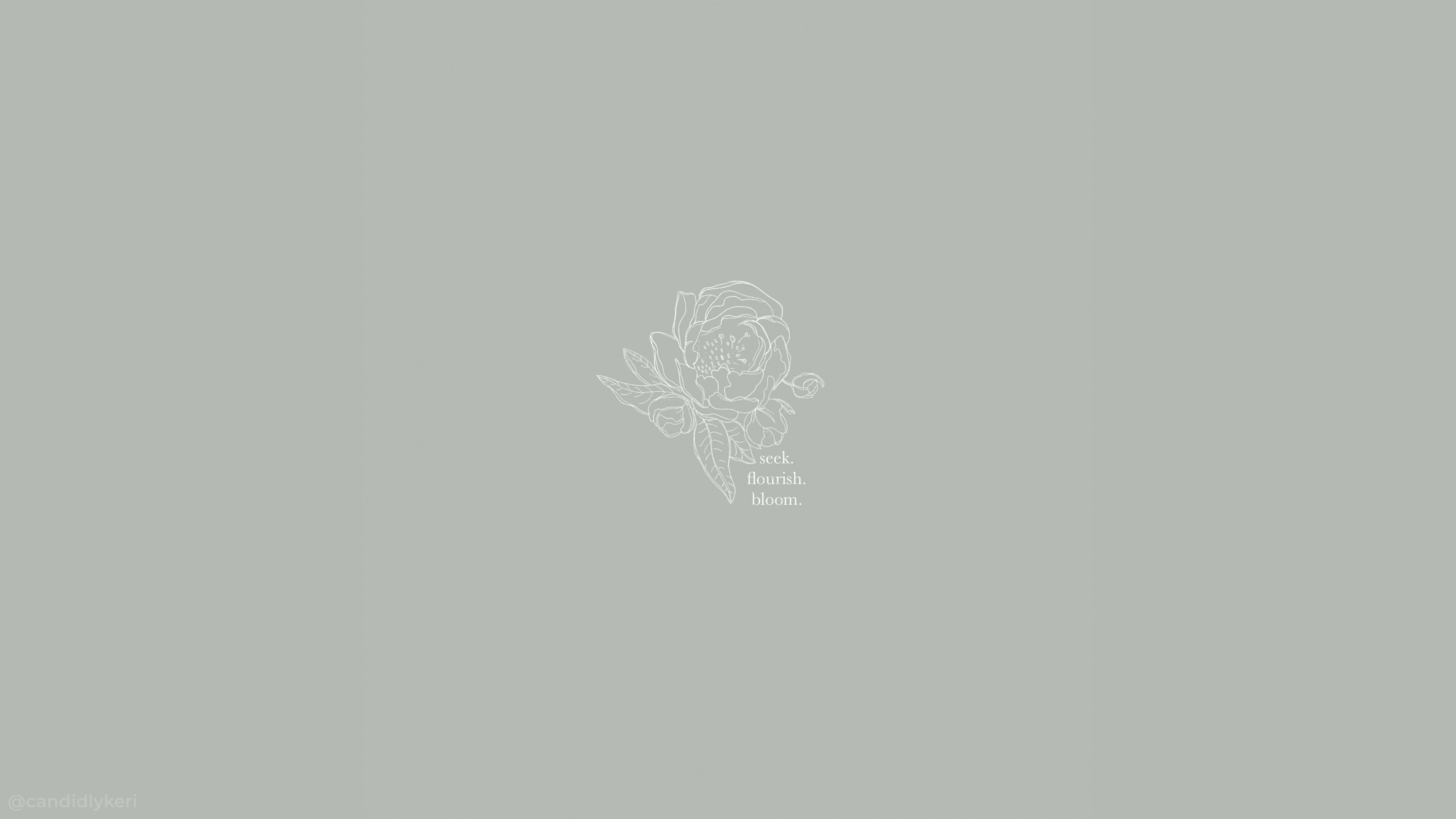 Seek Flourish Bloom Estética Mac Fondos de pantalla
