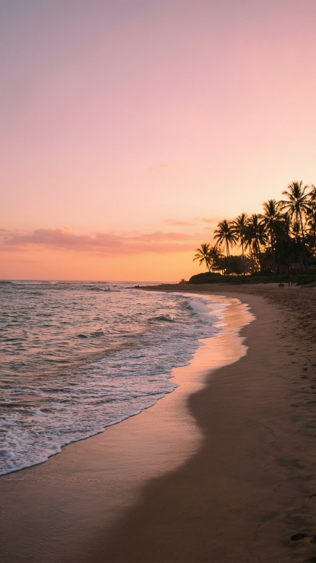 Serenidad de Palmeras al Atardecer Fondos de pantalla