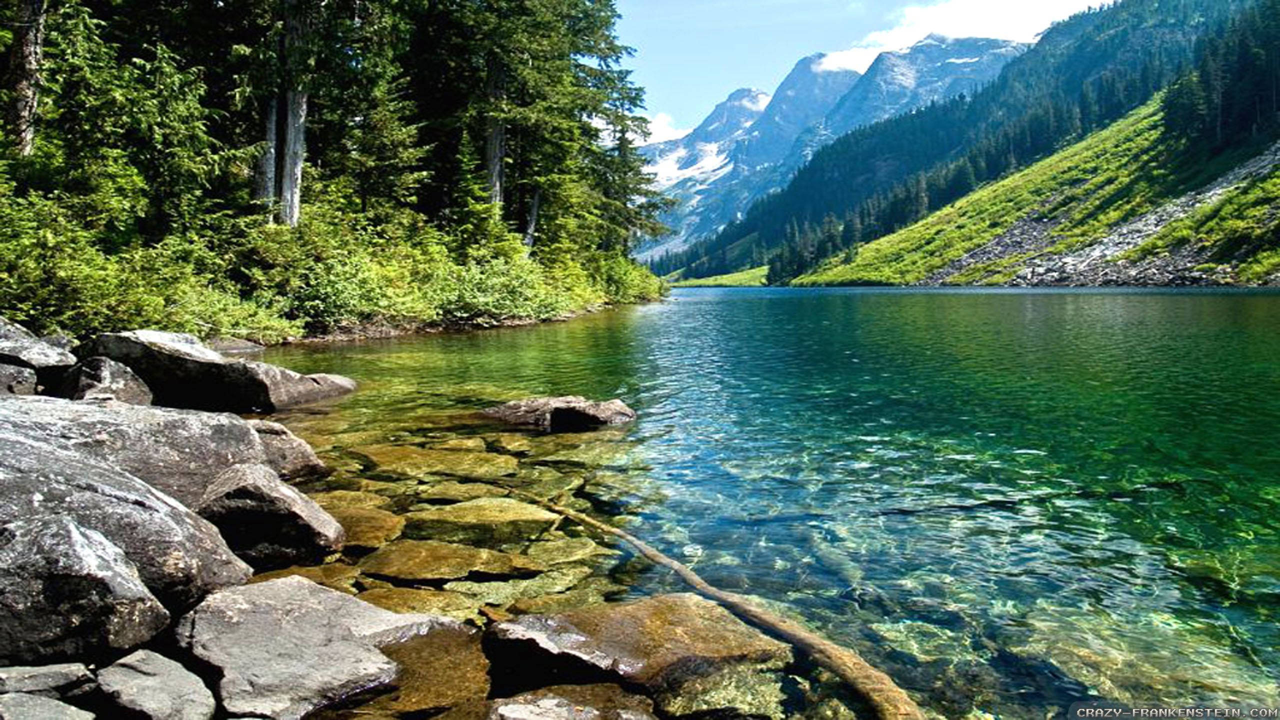 Serenidad en el río Fondos de pantalla