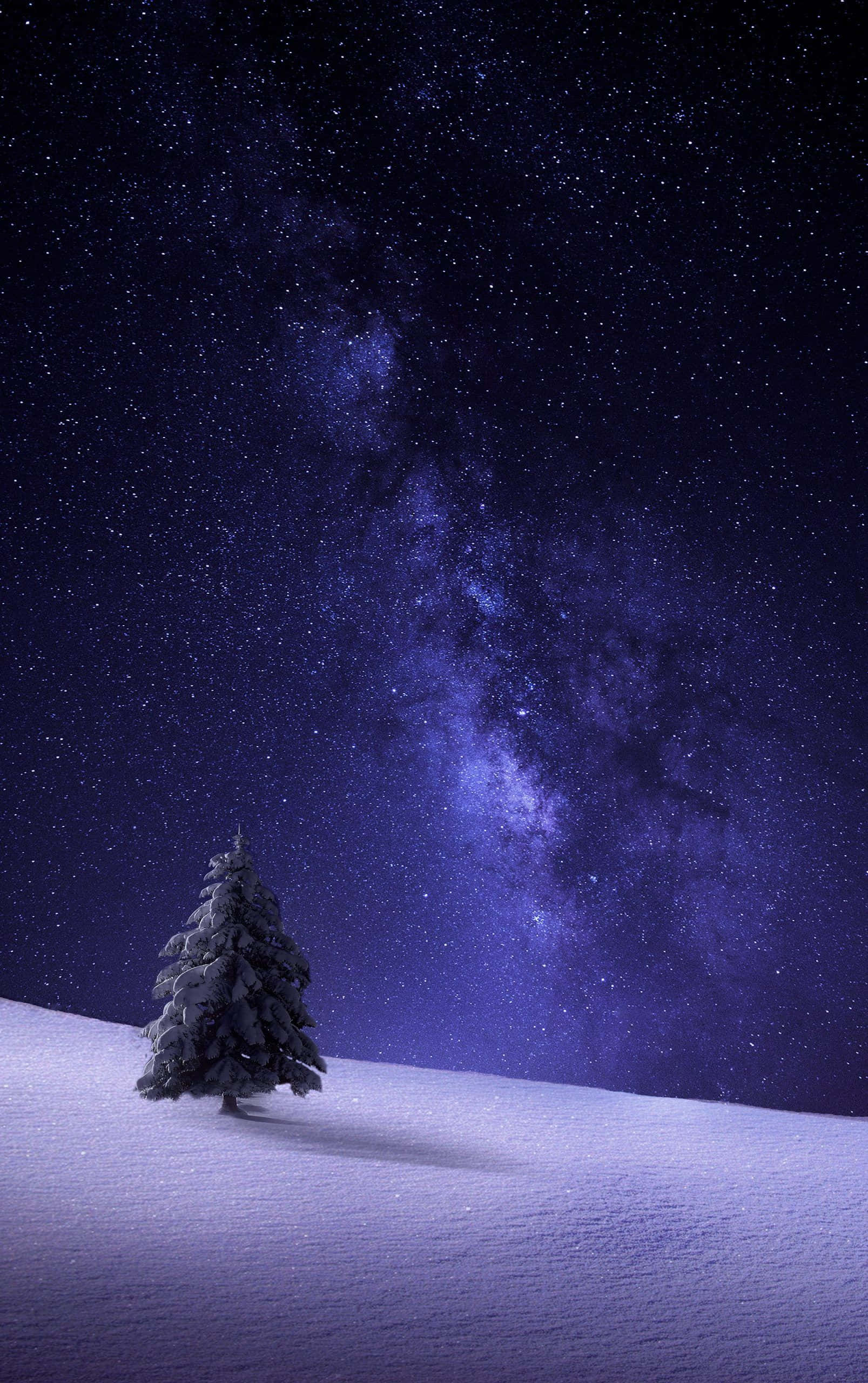 Siente el frío del invierno con el Snow iPhone Fondos de pantalla