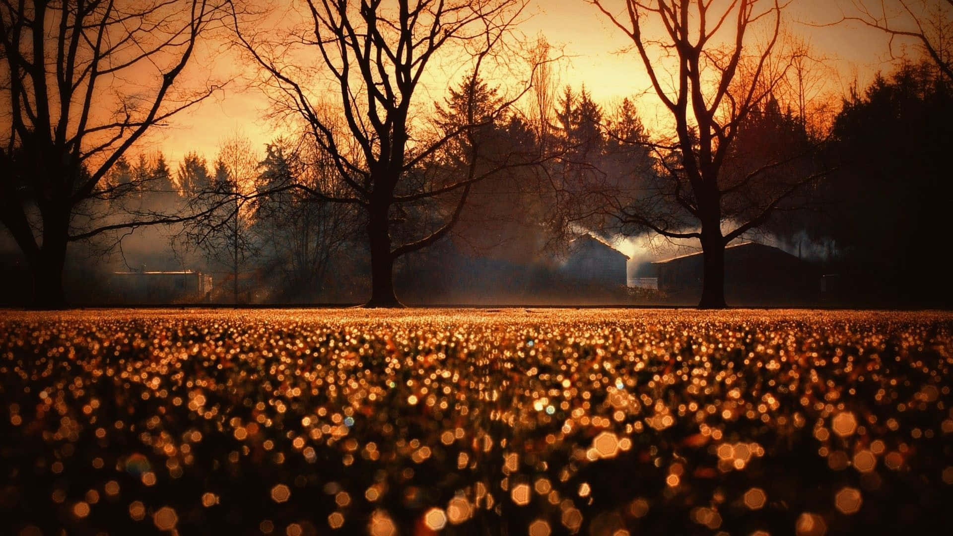 Siente el otoño, siéntete vivo. Fondos de pantalla
