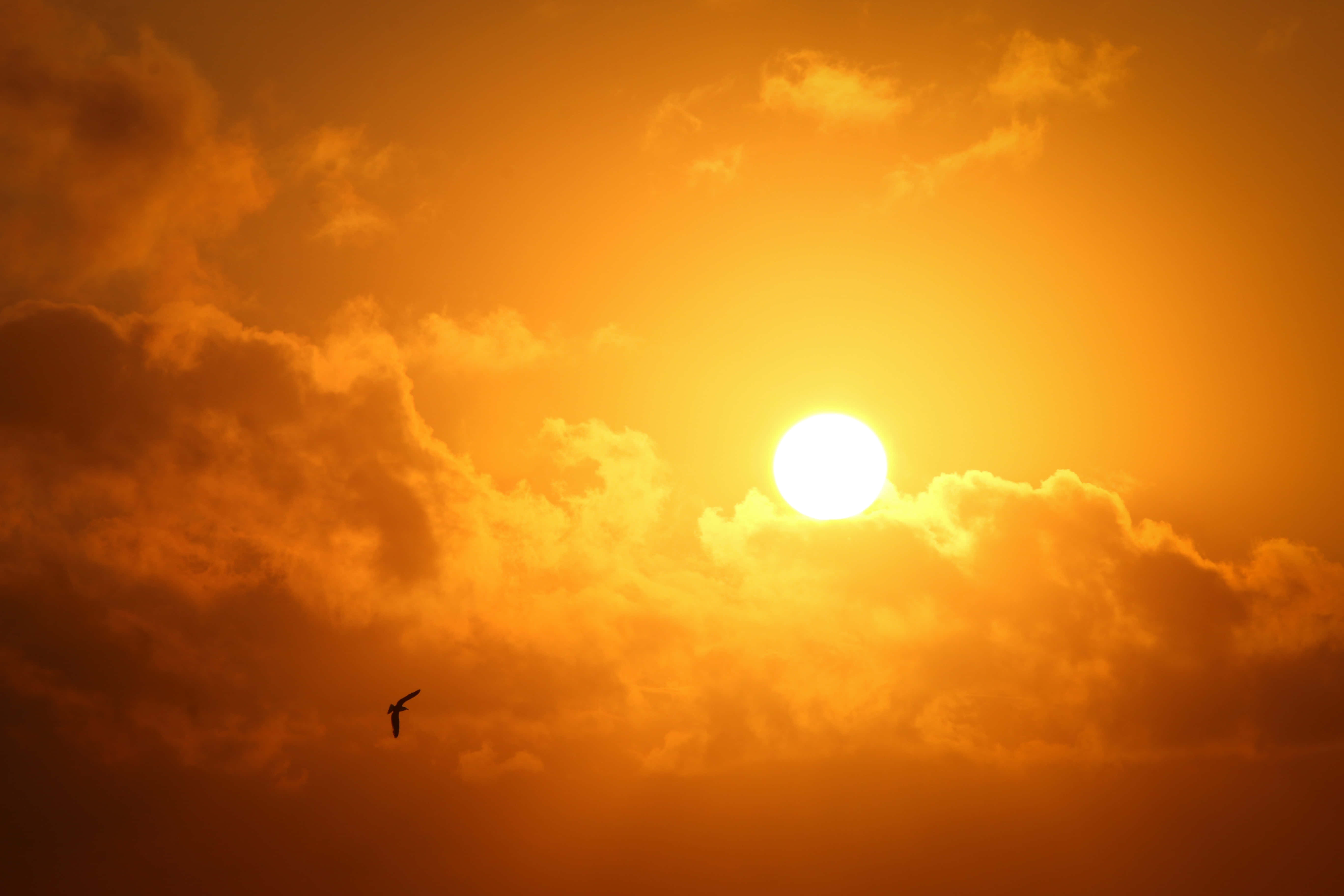 Siente la calma y la belleza de un atardecer Fondos de pantalla