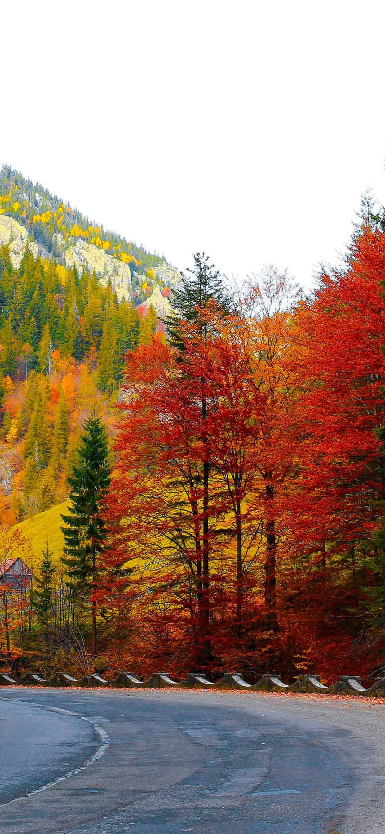 Siéntete inspirado este otoño con la magia del iPhone Xs Max Fondos de pantalla