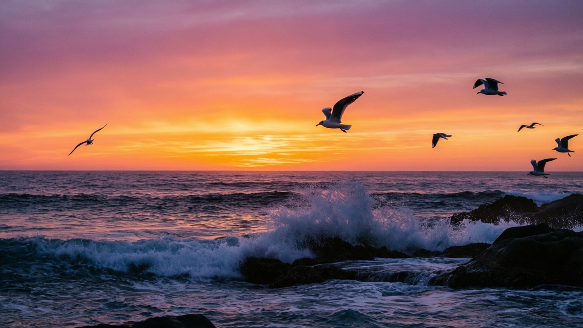 Silueta de atardecer oceánico Fondos de pantalla