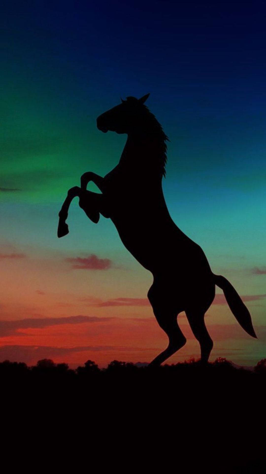 Silueta de Caballo Lindo Fondos de pantalla