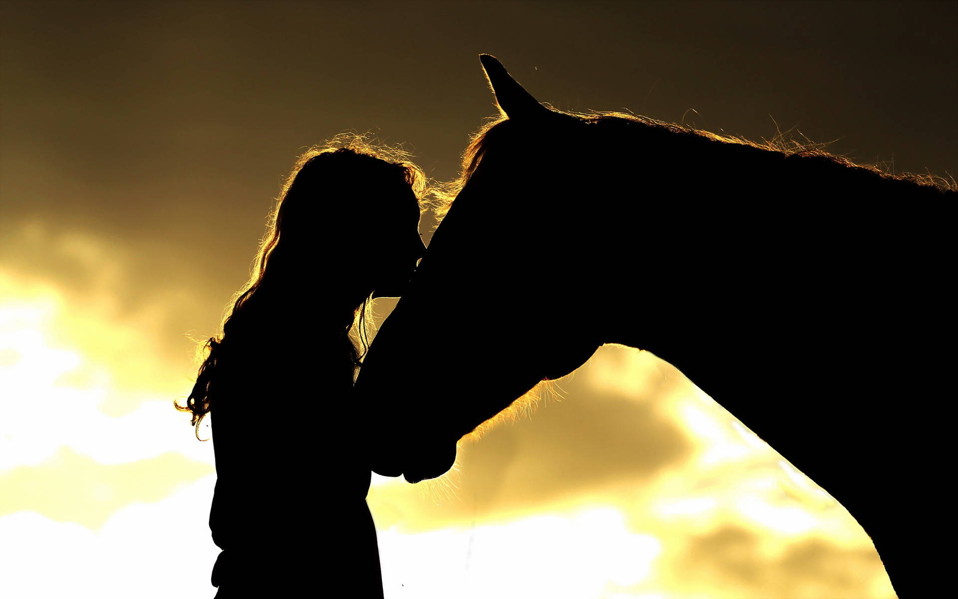 Silueta de caballo y mujer Fondos de pantalla