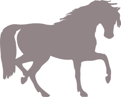 Silueta de caballo al galope Fondos de pantalla