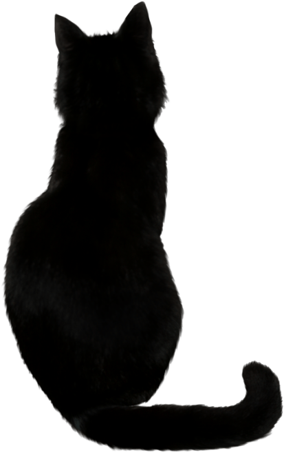Silueta de gato negro Fondos de pantalla