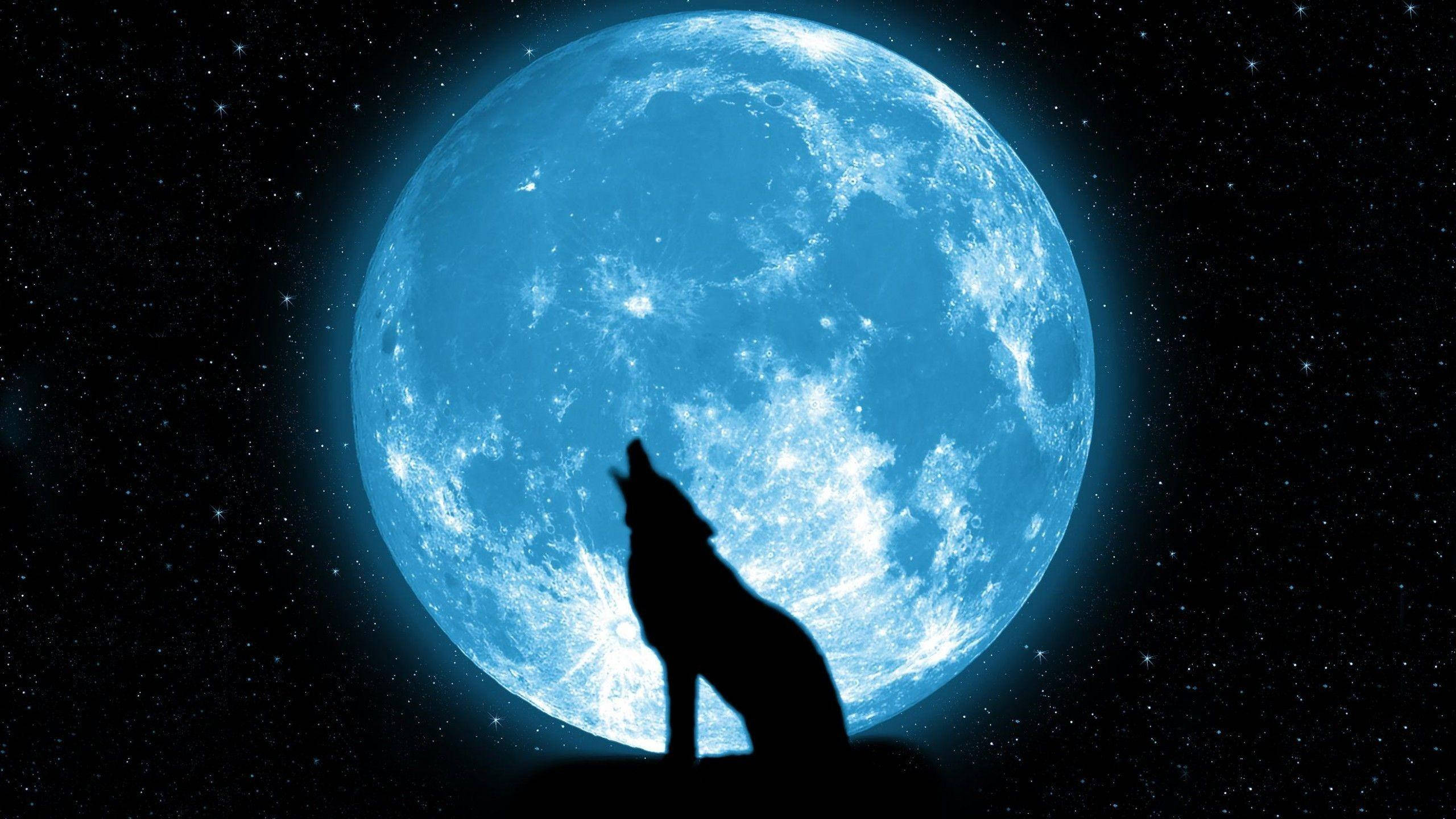 Silueta de Lobo Aullando en la Galaxia Fondos de pantalla