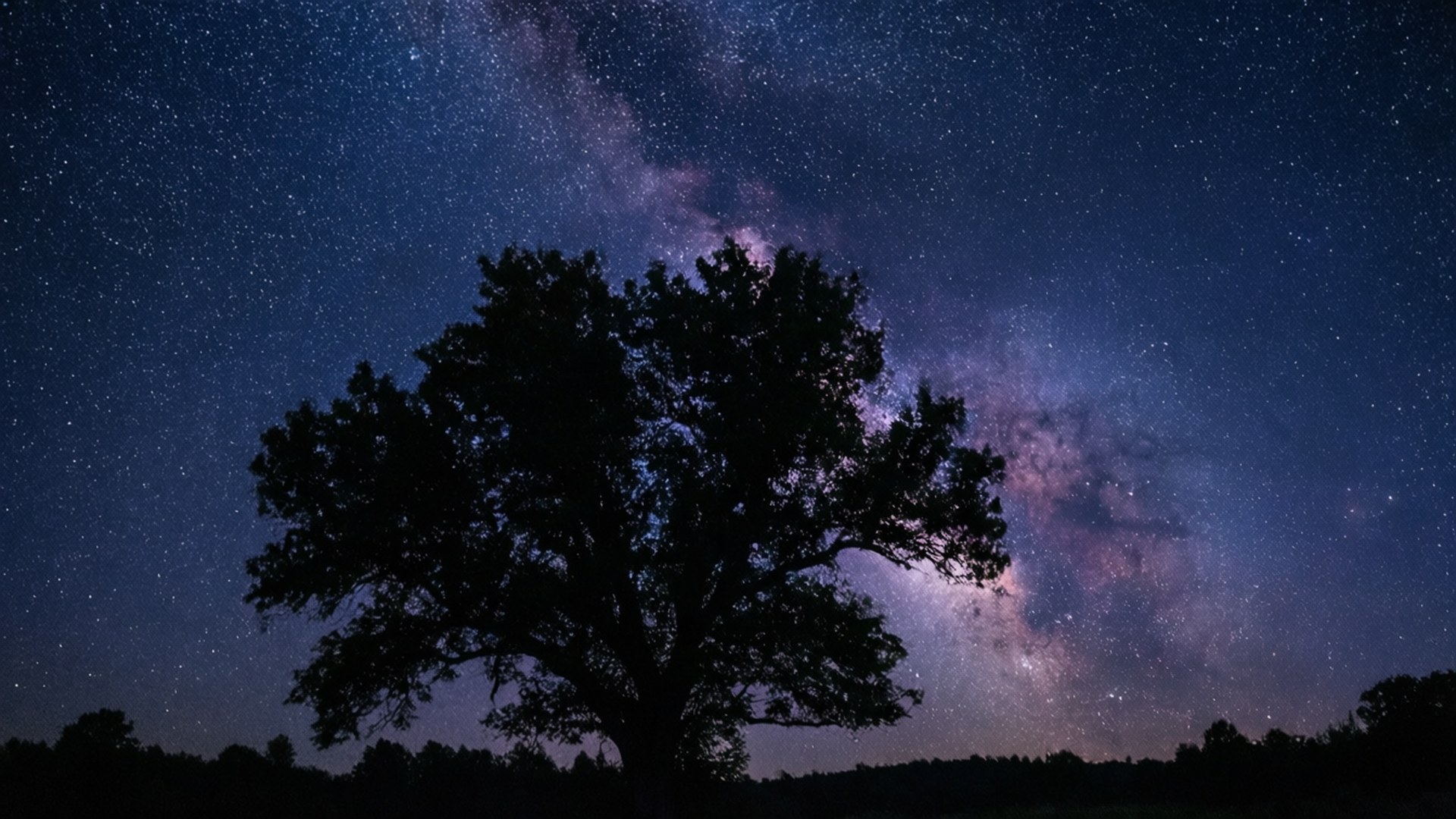 Silueta de Noche Estrellada Fondos de pantalla