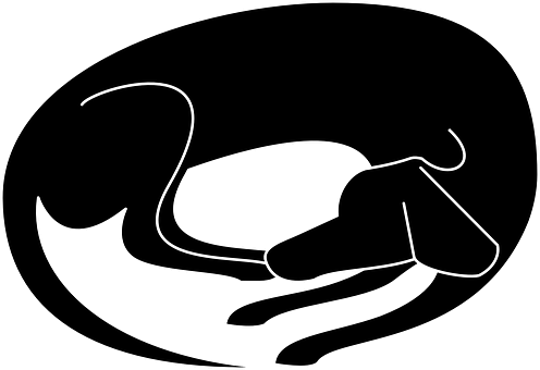 Silueta de perro durmiendo contorno.JPG Fondos de pantalla