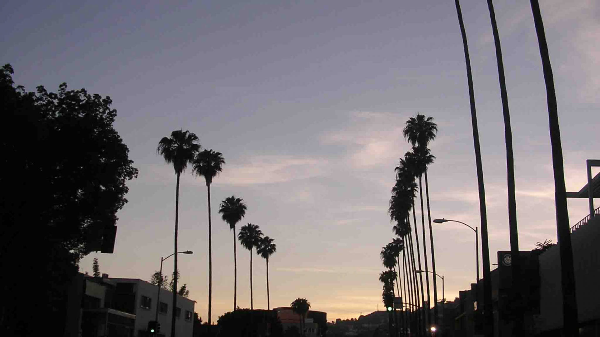 Silueta del Sunset Boulevard Fondos de pantalla