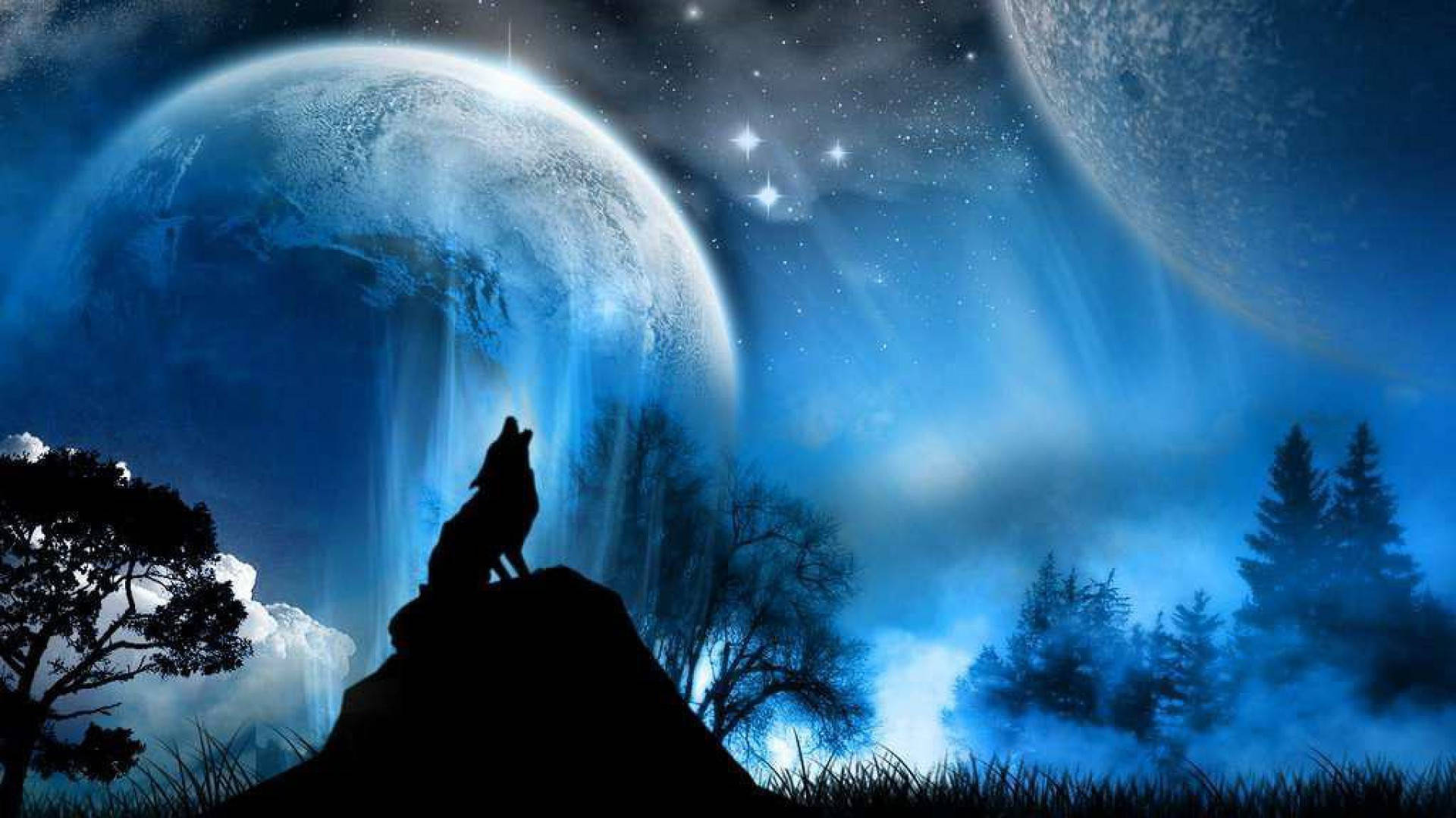 Silueta genial de un lobo aullando Fondos de pantalla