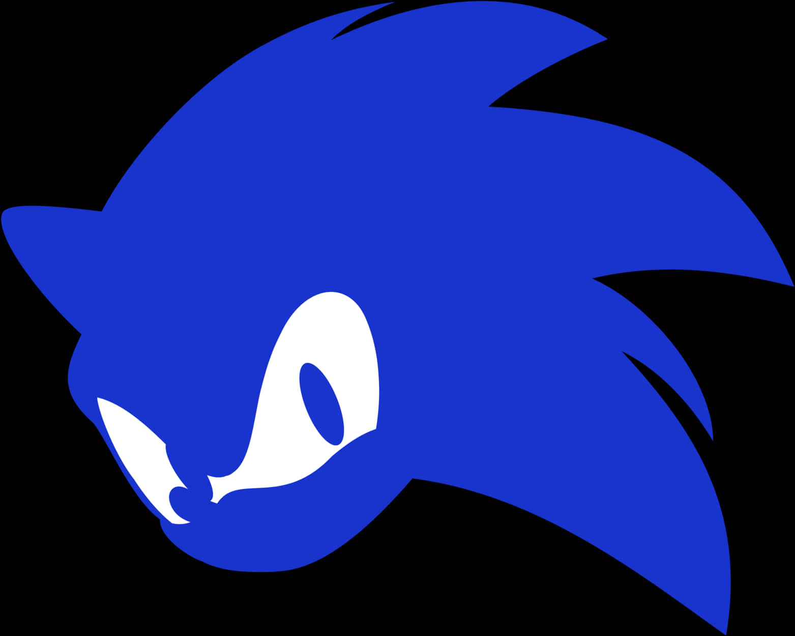 Silueta gráfica de erizo azul Fondos de pantalla