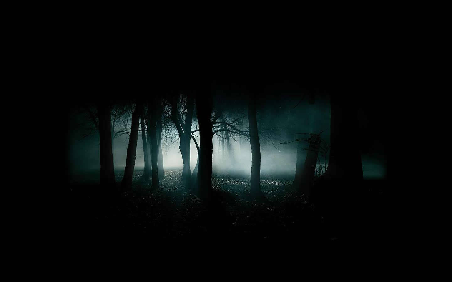 Siluetas oscuras de árboles geniales Fondos de pantalla