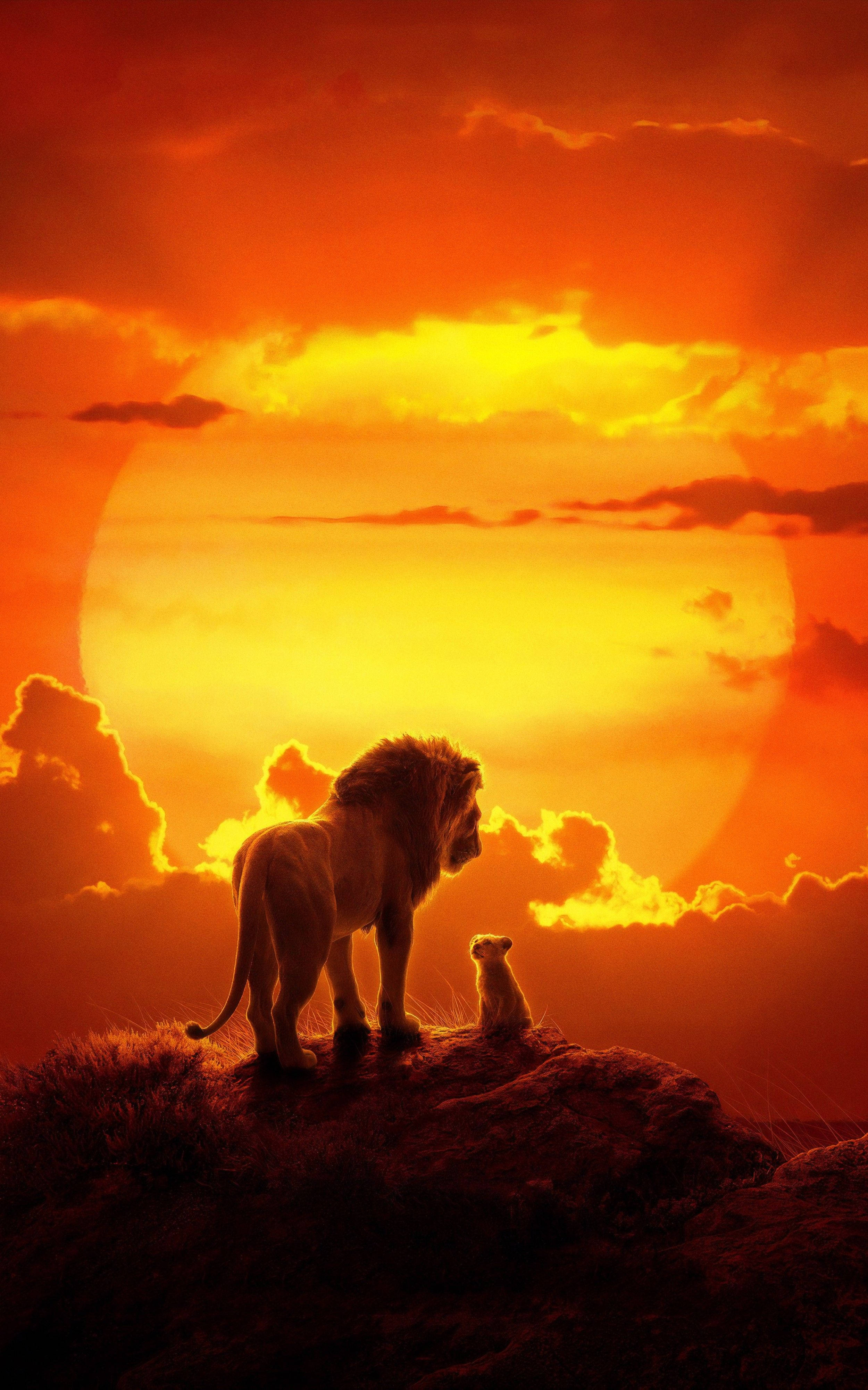 Simba Contempla el Atardecer Africano Fondos de pantalla