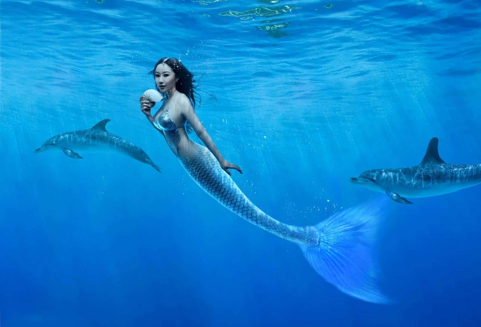 Sirena con Dos Delfines Fondos de pantalla