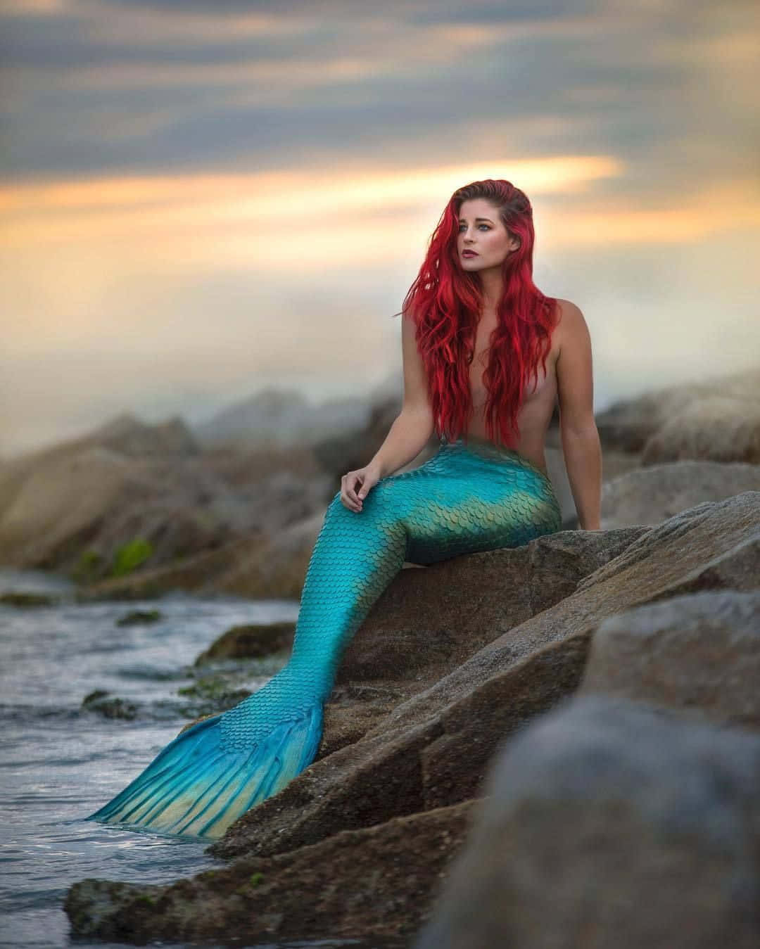 Sirena en Roca Imagen Real Fondos de pantalla