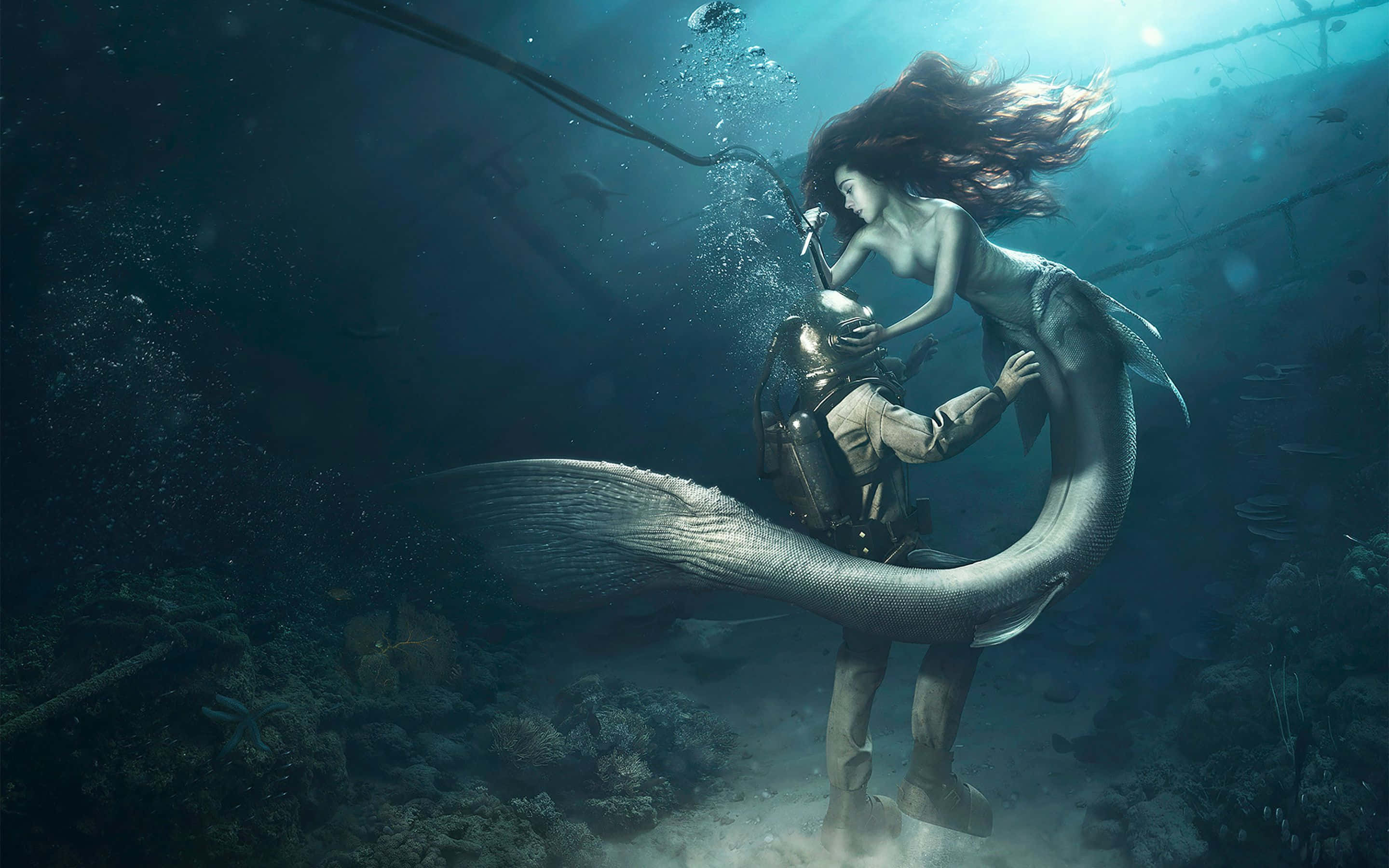 Sirena Real con un Buzo Fondos de pantalla