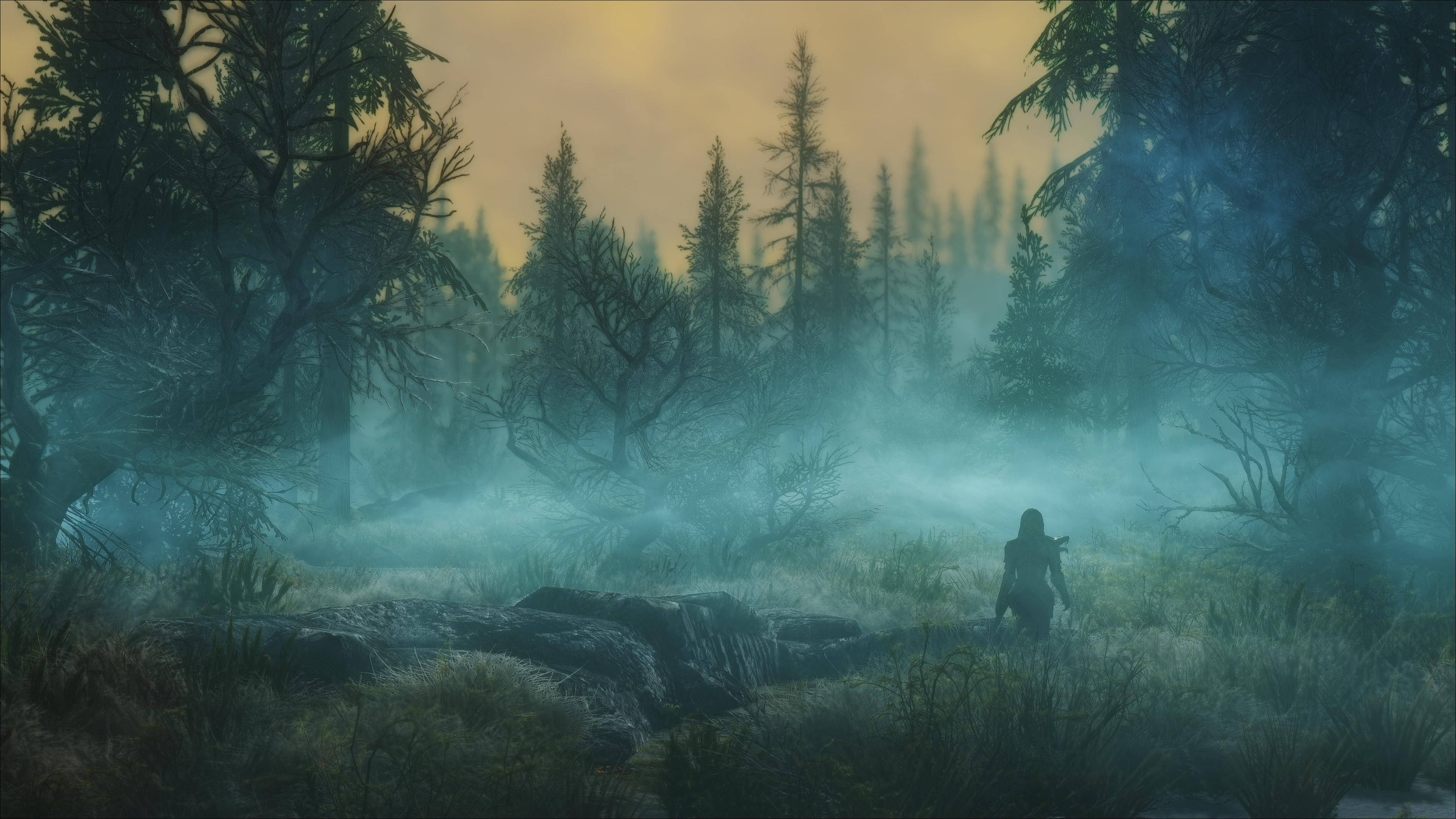 Skyrim Ultra HD Bosque Oscuro y Brumoso Fondos de pantalla