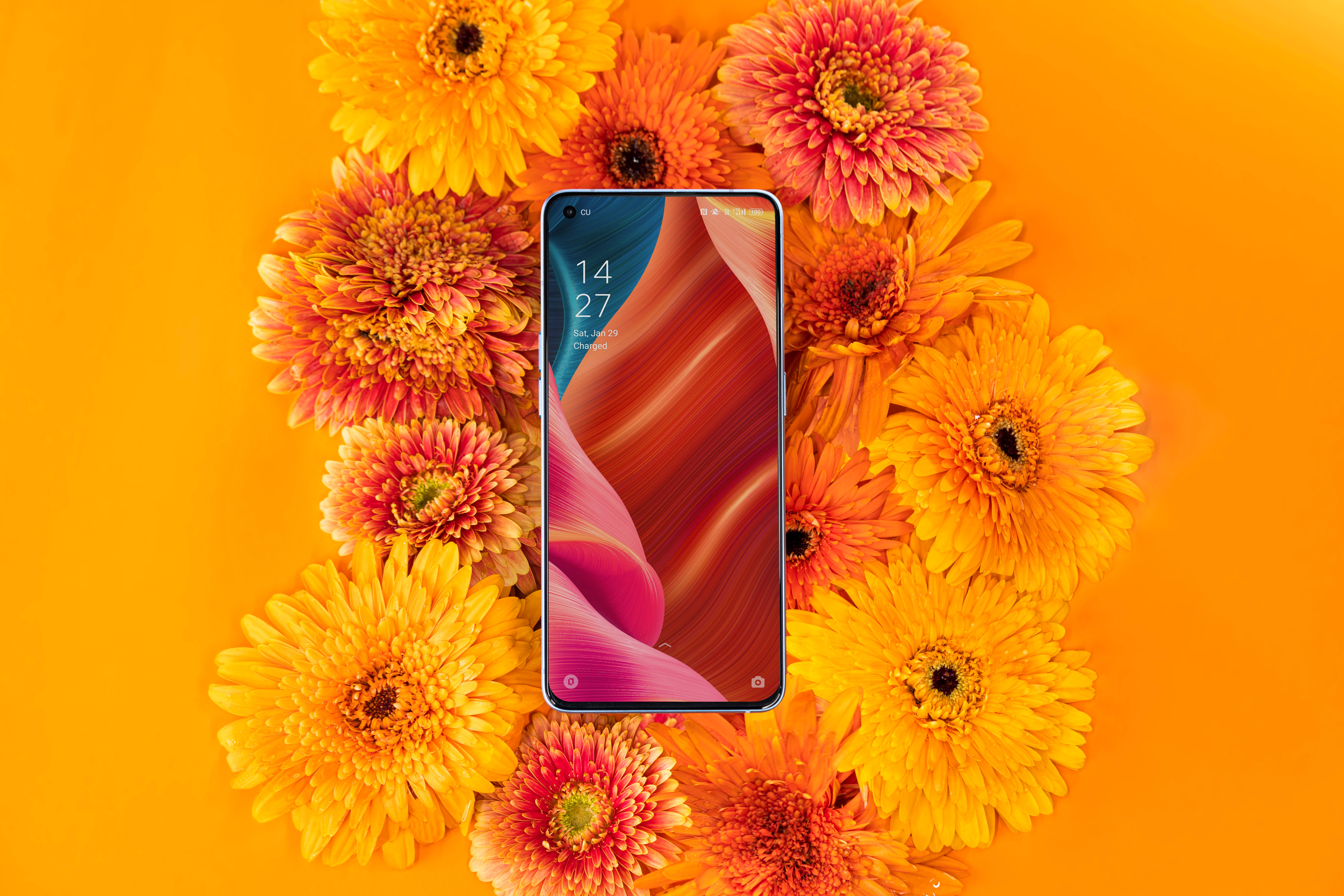 Smartphone Oppo y Flora Floreciente Fondos de pantalla