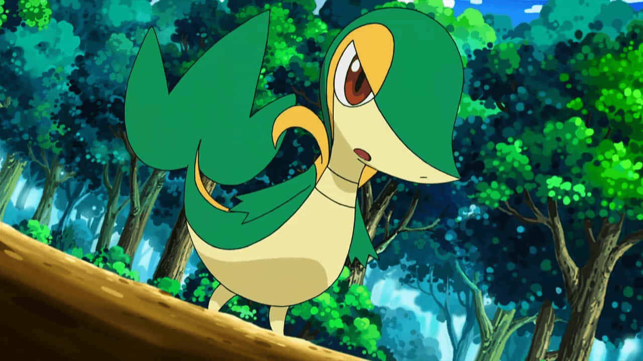 Snivy Serio Fondos de pantalla