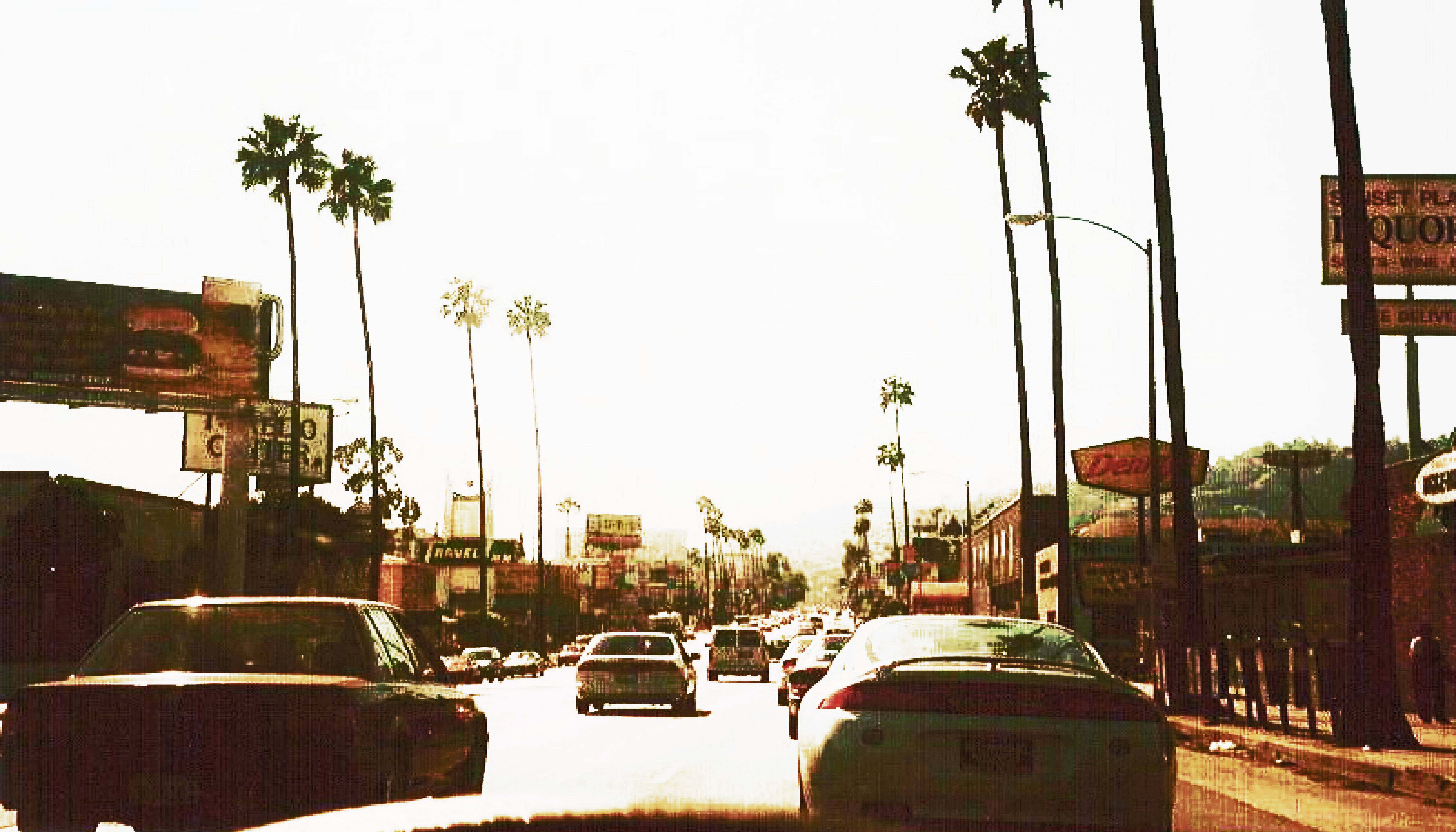 Sol Cegador en Sunset Boulevard Fondos de pantalla