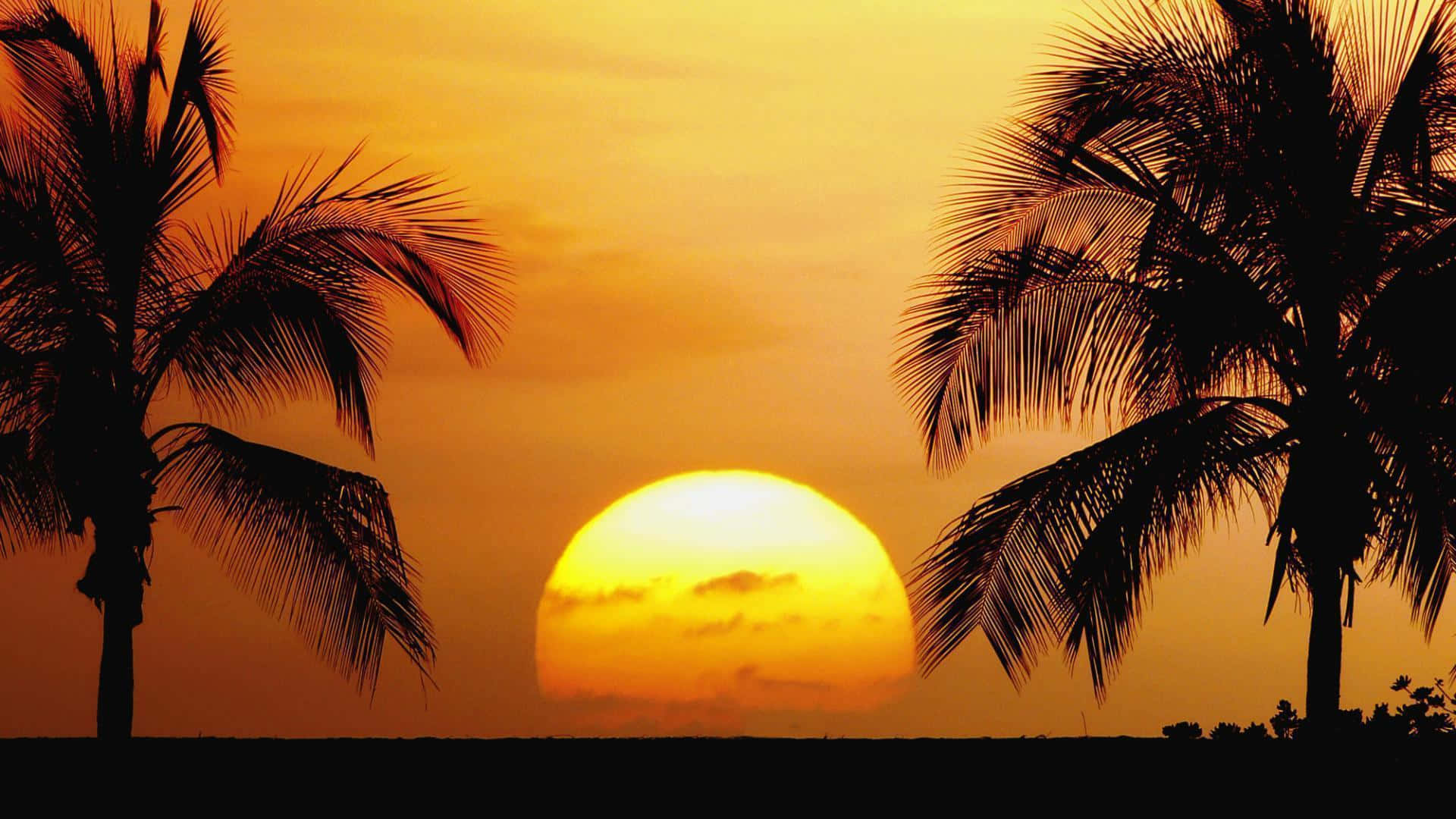 Sol Infinito en la Playa Fondos de pantalla