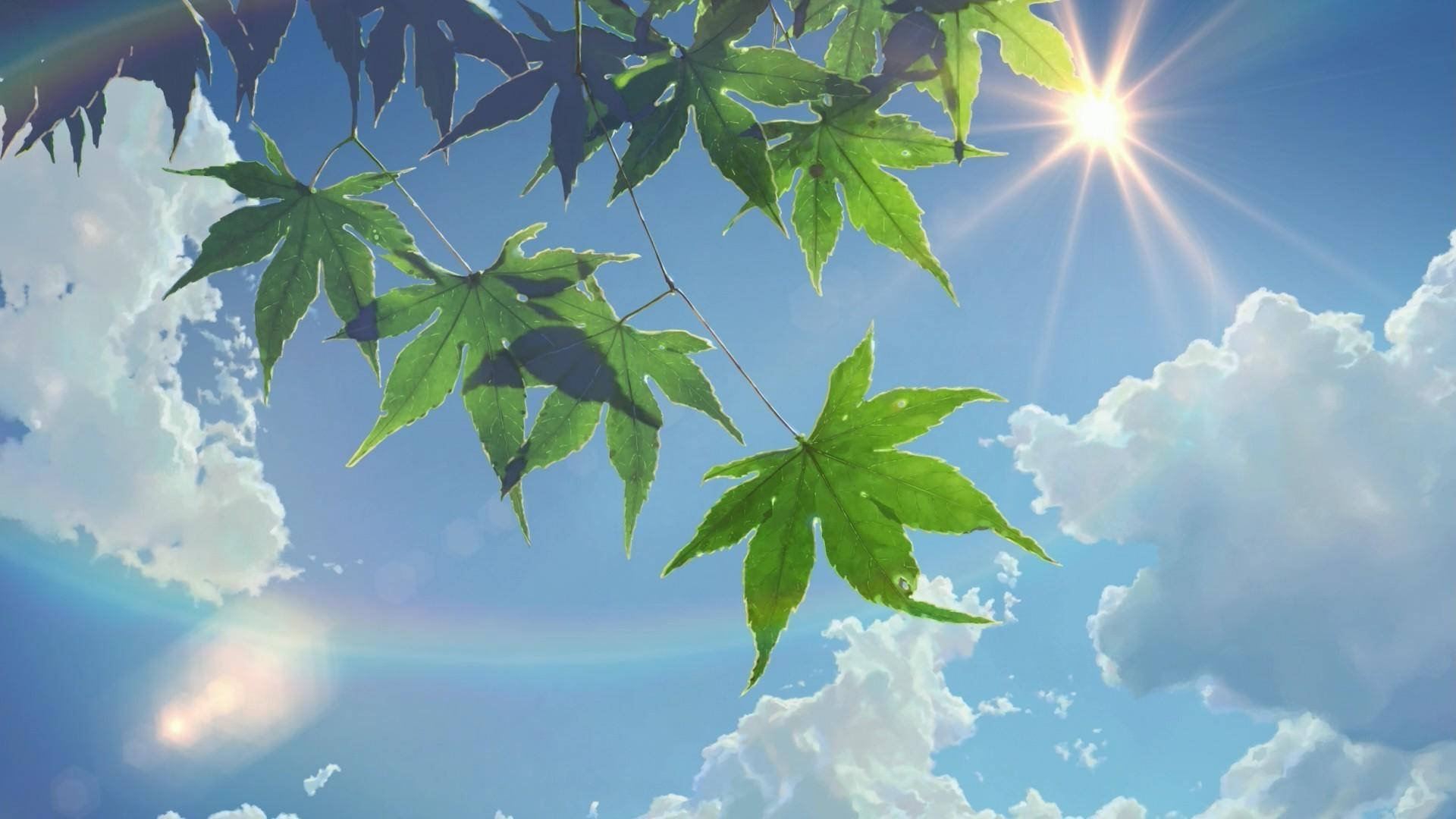 Sol y Cielo Estético de Verano Fondos de pantalla