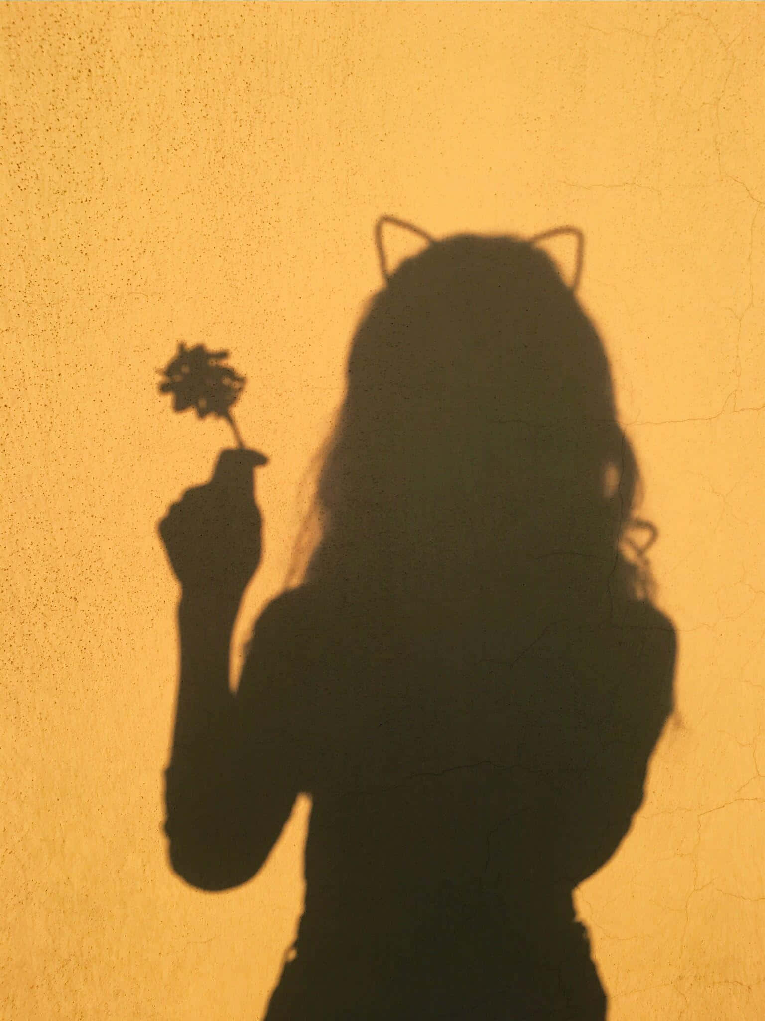 Sombra estética amarilla PFP Fondos de pantalla