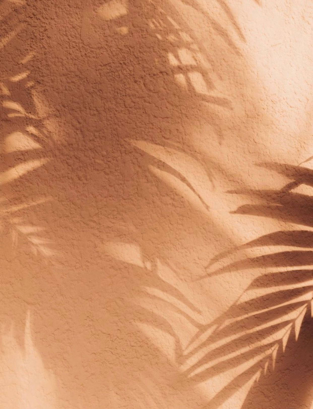Sombras de Hojas en Fondo Neutro Fondos de pantalla