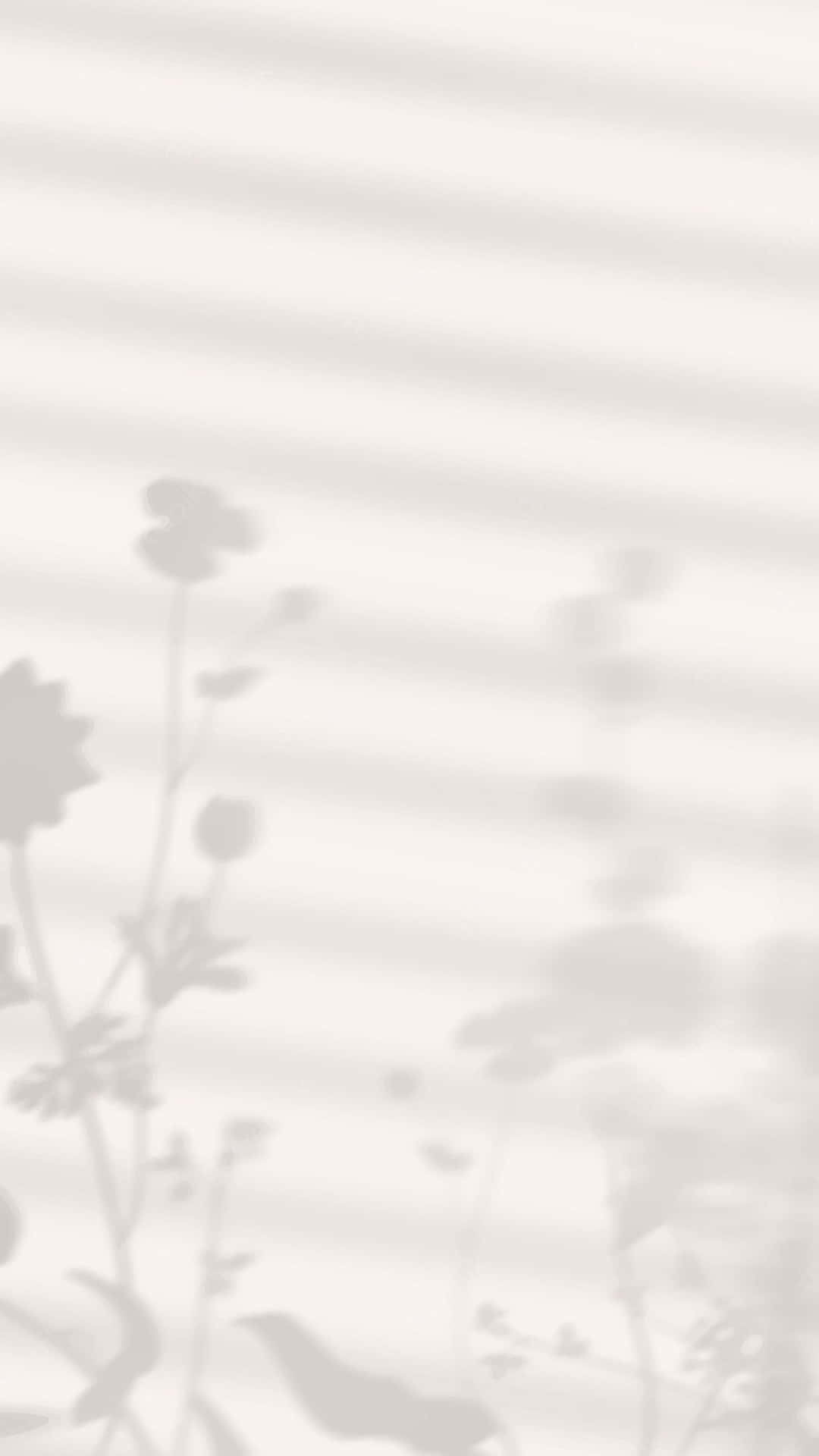 Sombras estéticas de plantas Fondos de pantalla