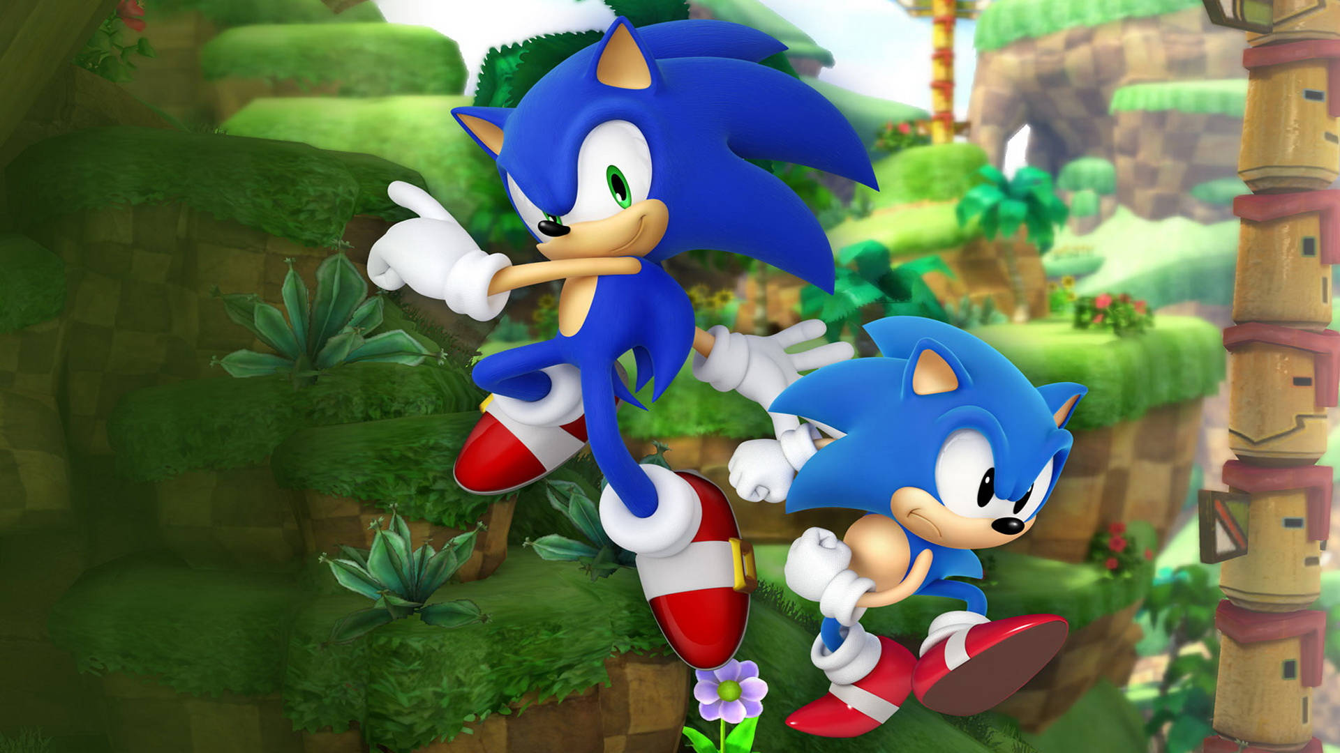 Sonic the Hedgehog y Sonic the Hedgehog corriendo en el pasto Fondos de pantalla