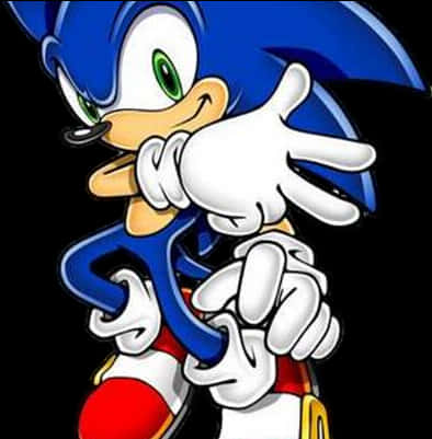 Sonic the Hedgehog en pose clásica Fondos de pantalla