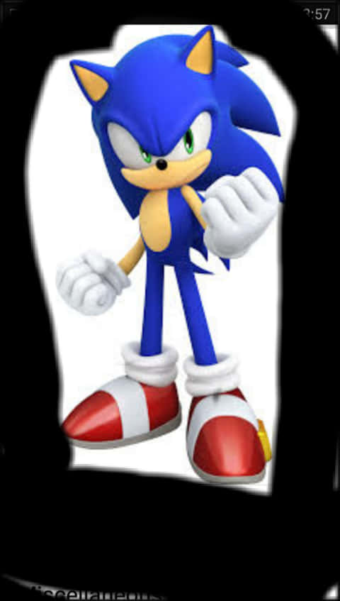 Sonic the Hedgehog en pose de pie Fondos de pantalla