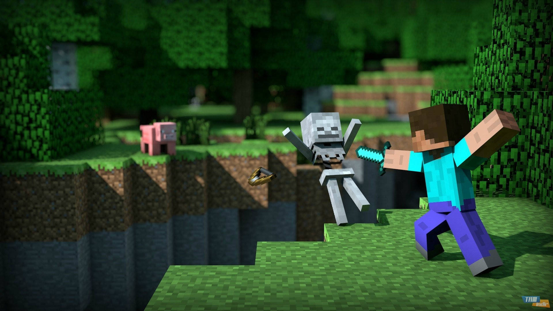 Steve peleando contra un esqueleto en Minecraft HD Fondos de pantalla