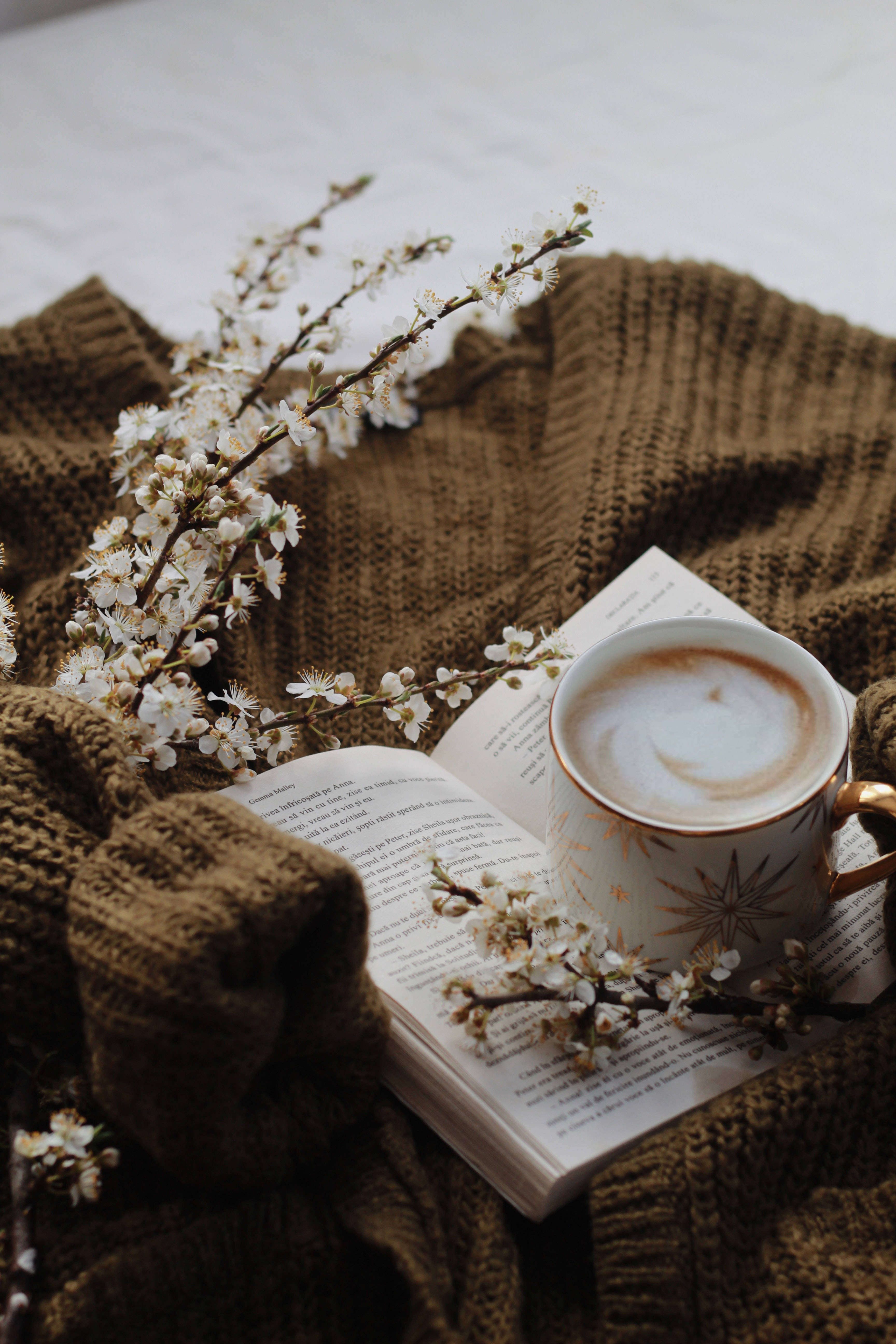Sudadera Preppy con Café Fondos de pantalla