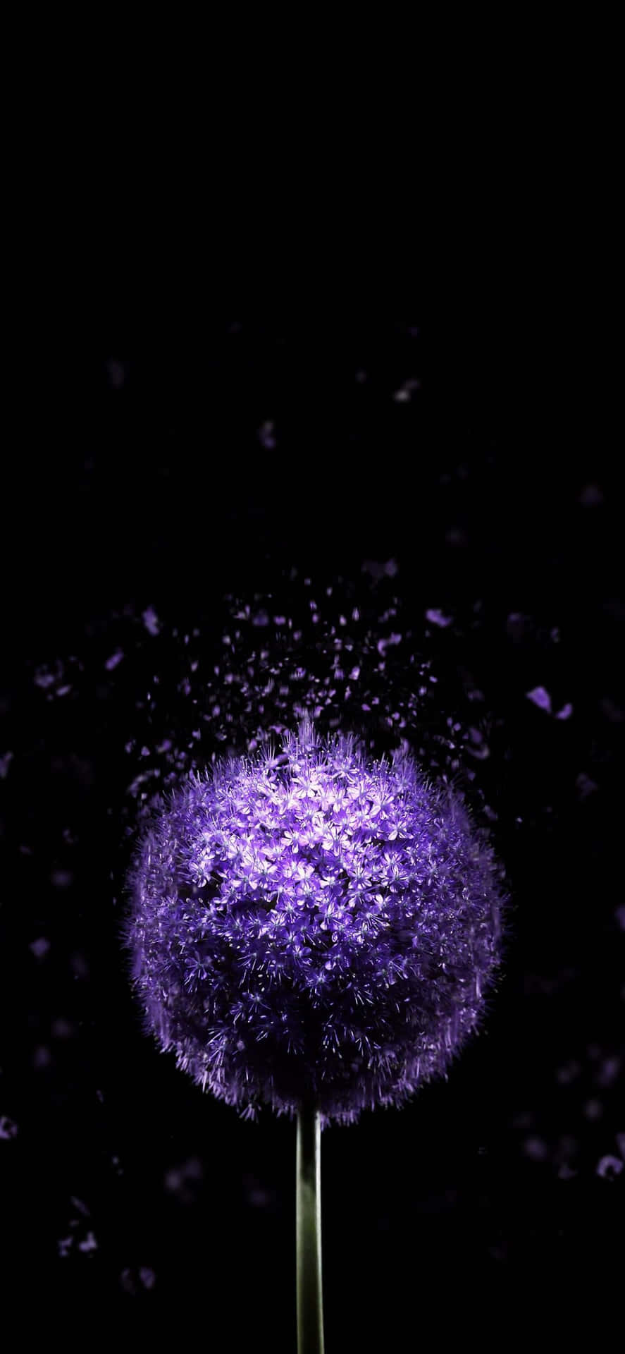 Fondo de pantalla del iPhone 13