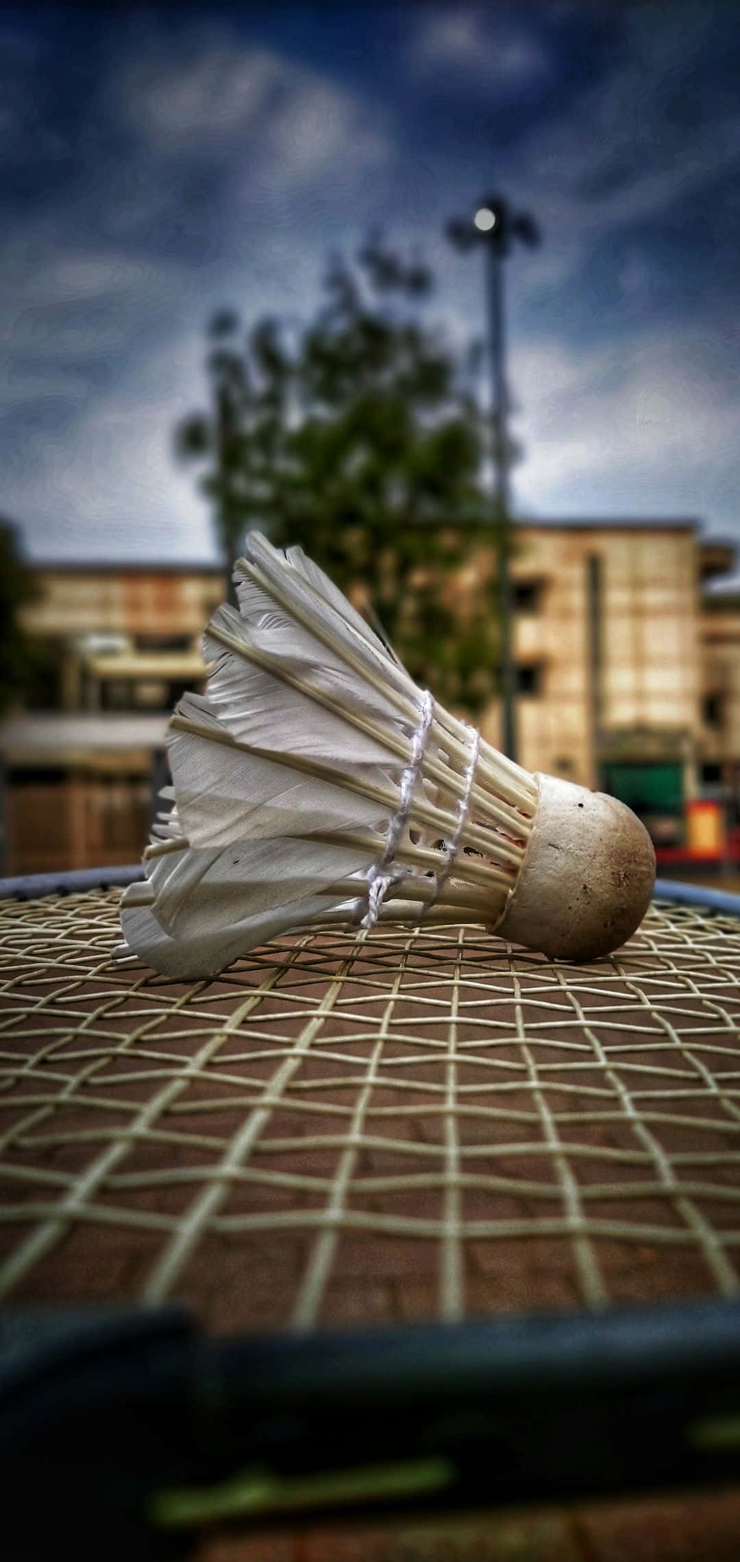 “Sumérgete en el Mundo Adrenalínico de Android Badminton” Fondos de pantalla
