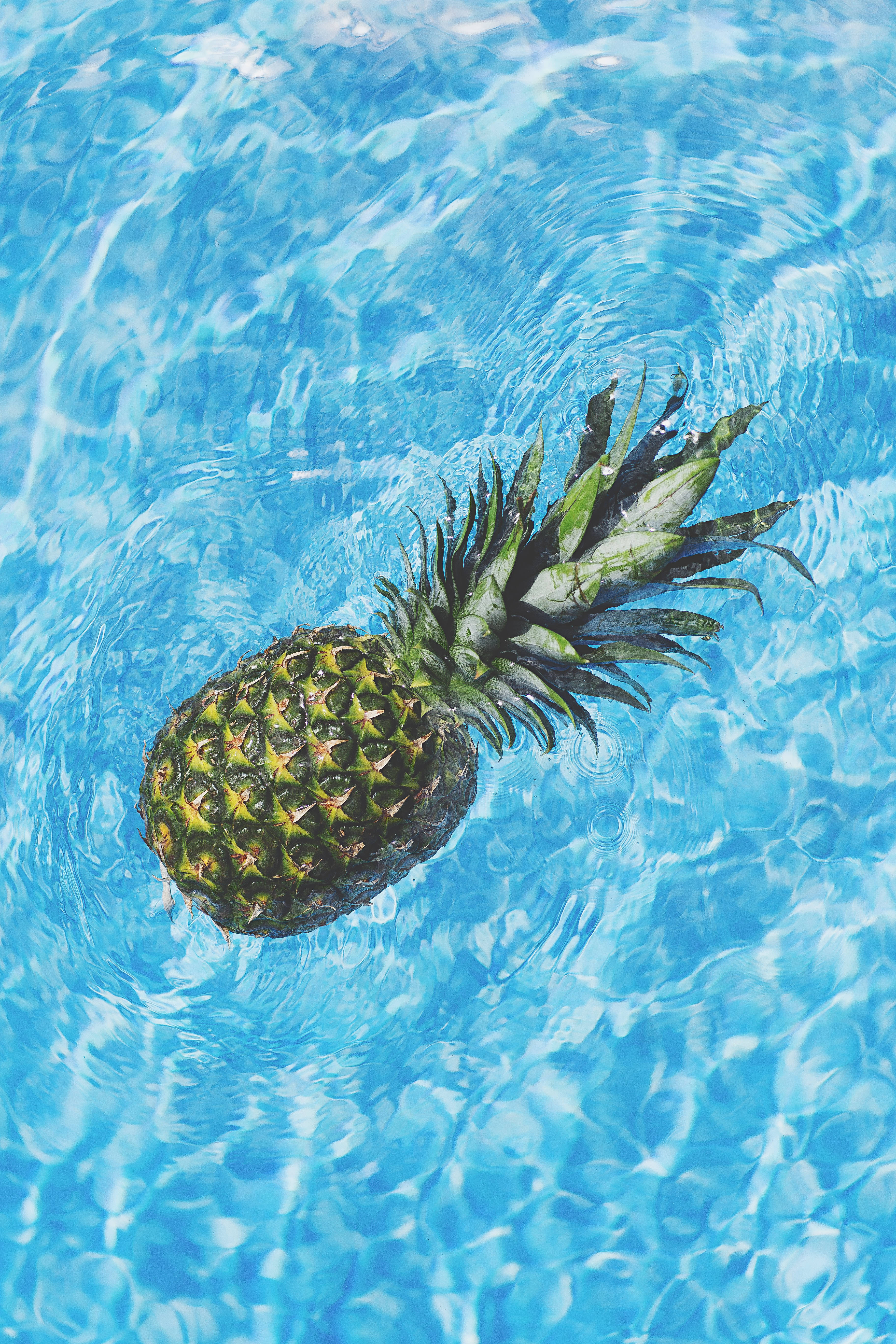 Sumérgete en el País de la Piña Fondos de pantalla