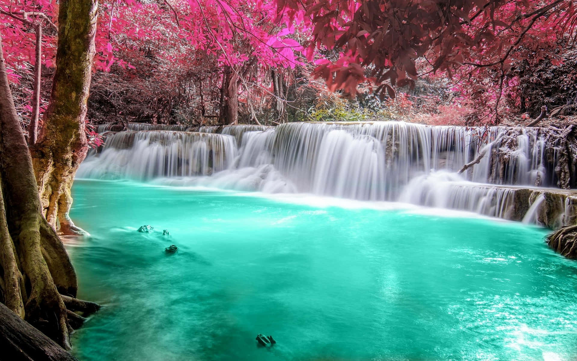 Sumérgete en la Serenidad de una Cascada Pacífica Fondos de pantalla
