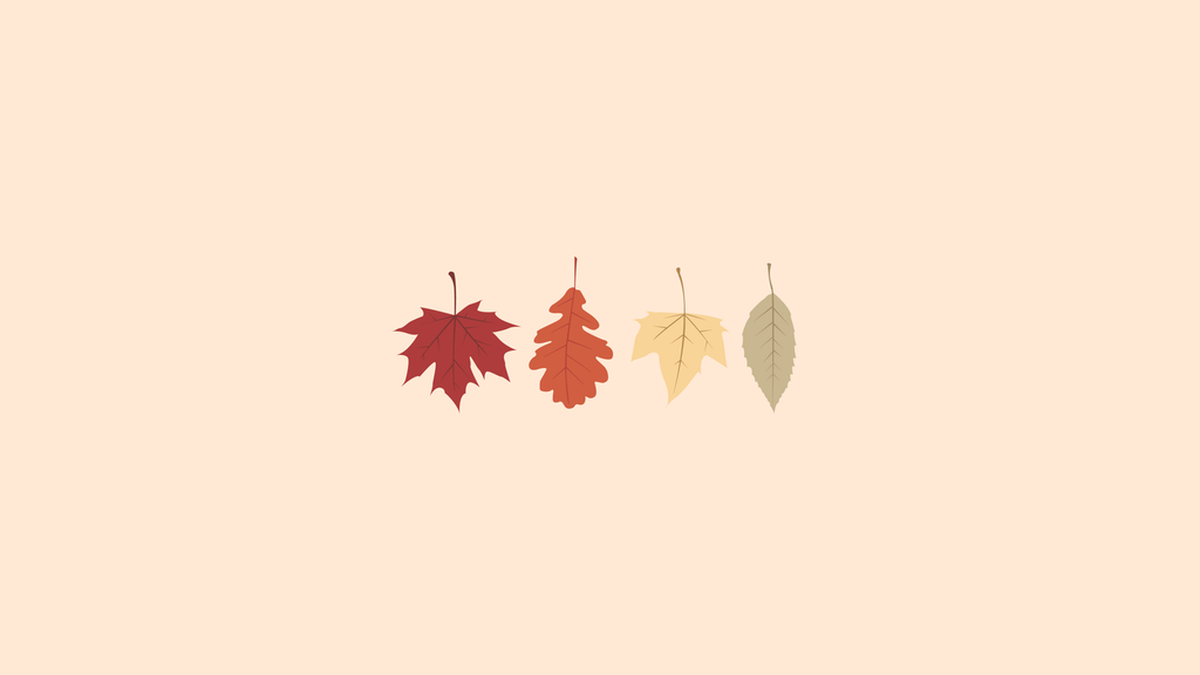¡Sumérgete en los colores del otoño! Fondos de pantalla