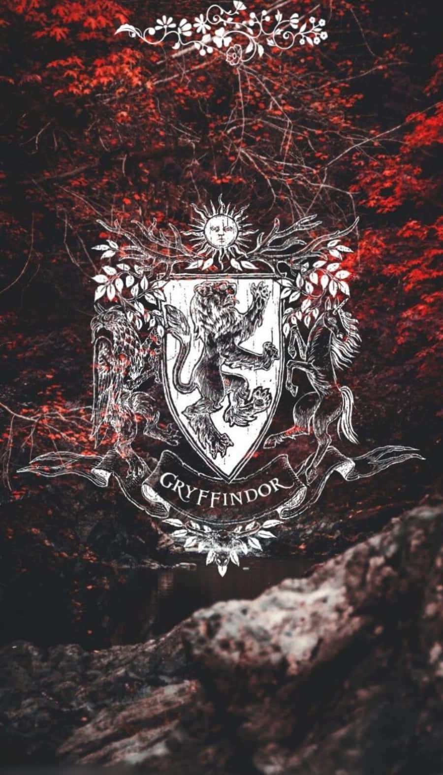 Sumérgete en un mundo mágico de estética Harry Potter Fondos de pantalla