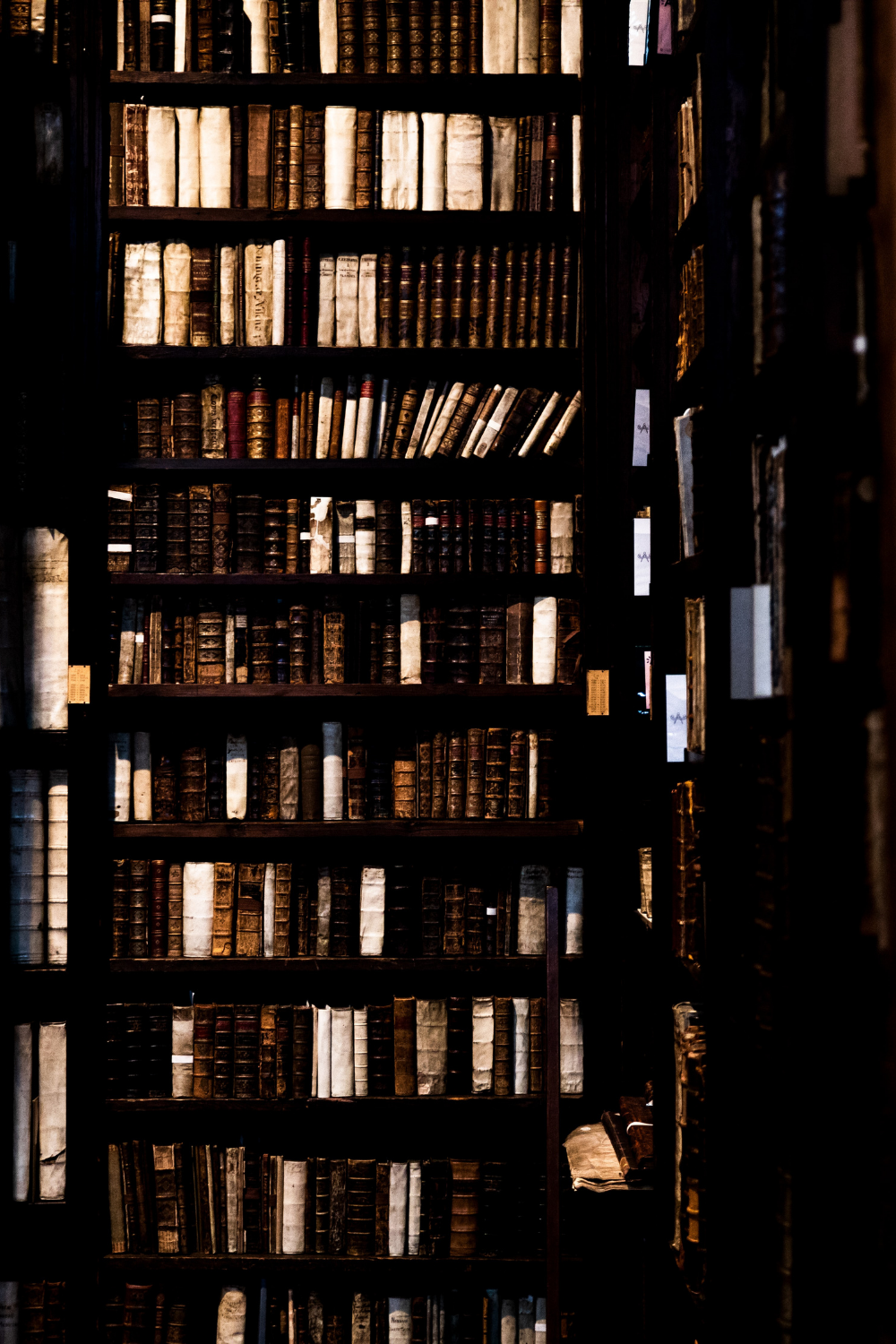 Sumergiéndose en las Sombras del Dark Academia Fondos de pantalla